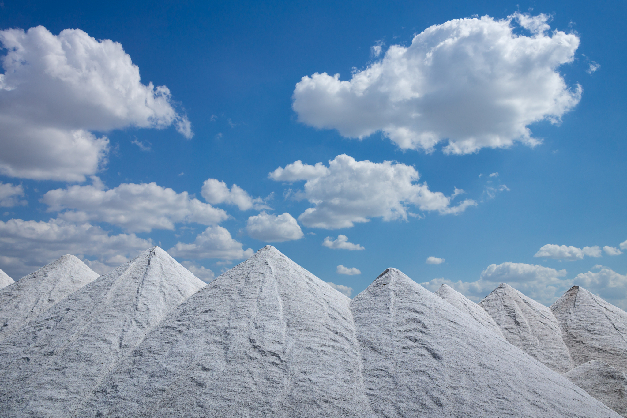 江西盐业公司 - 国有盐业企业，历史悠久，业务全面