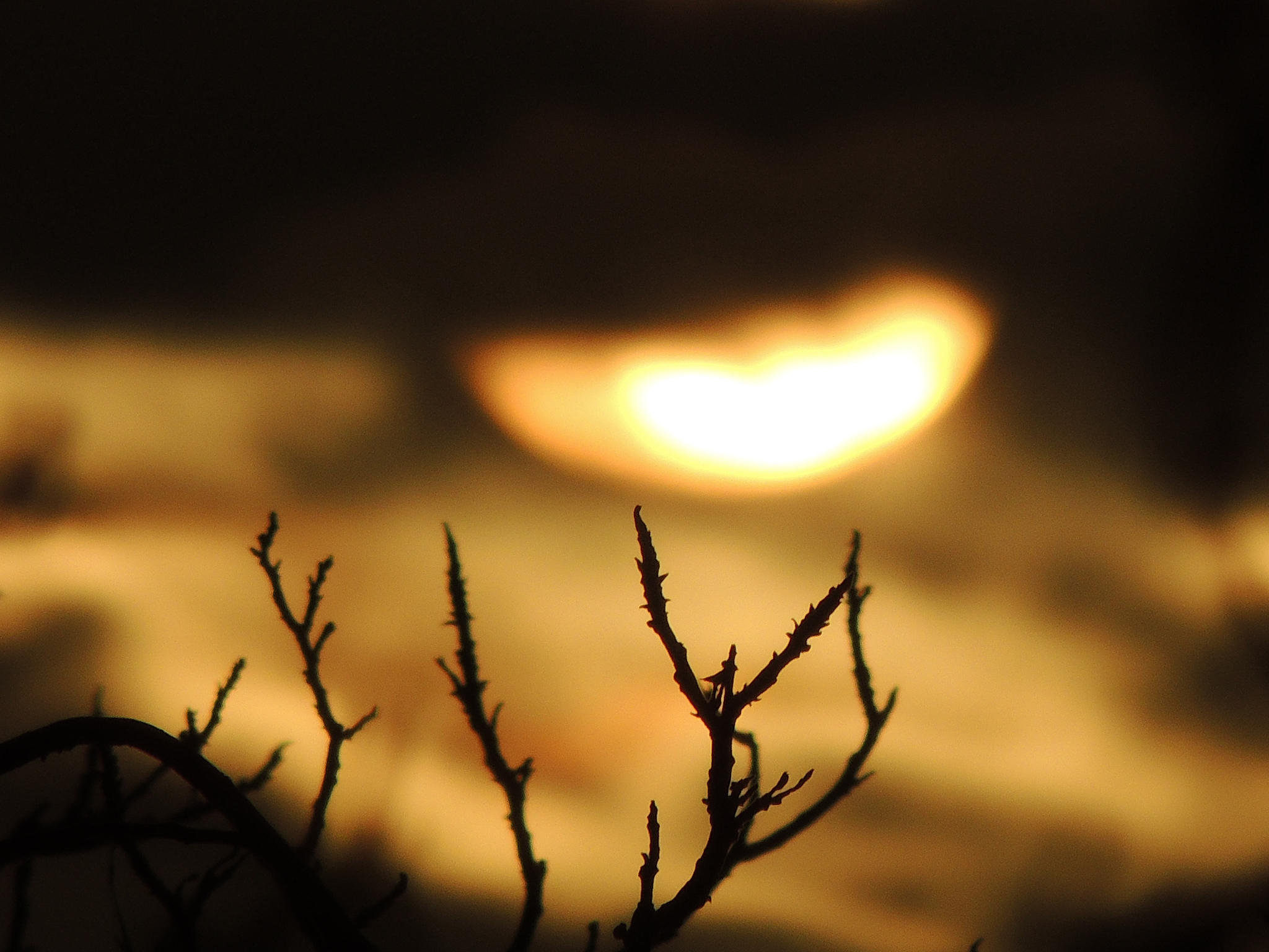 晚风：温柔的夜间气息，带来舒适和思考