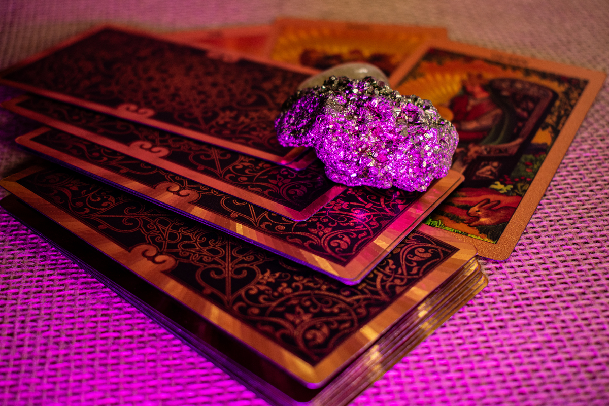 会和同伴一起离开吗？随机“是”或“不是”！