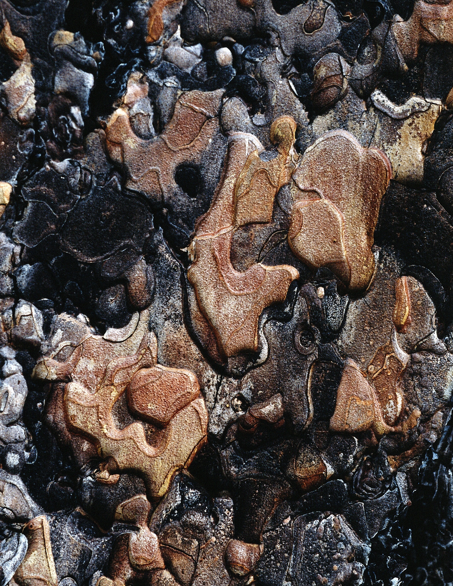 铁锈危害健康：重金属入侵，影响神经、肝脏、肾脏！