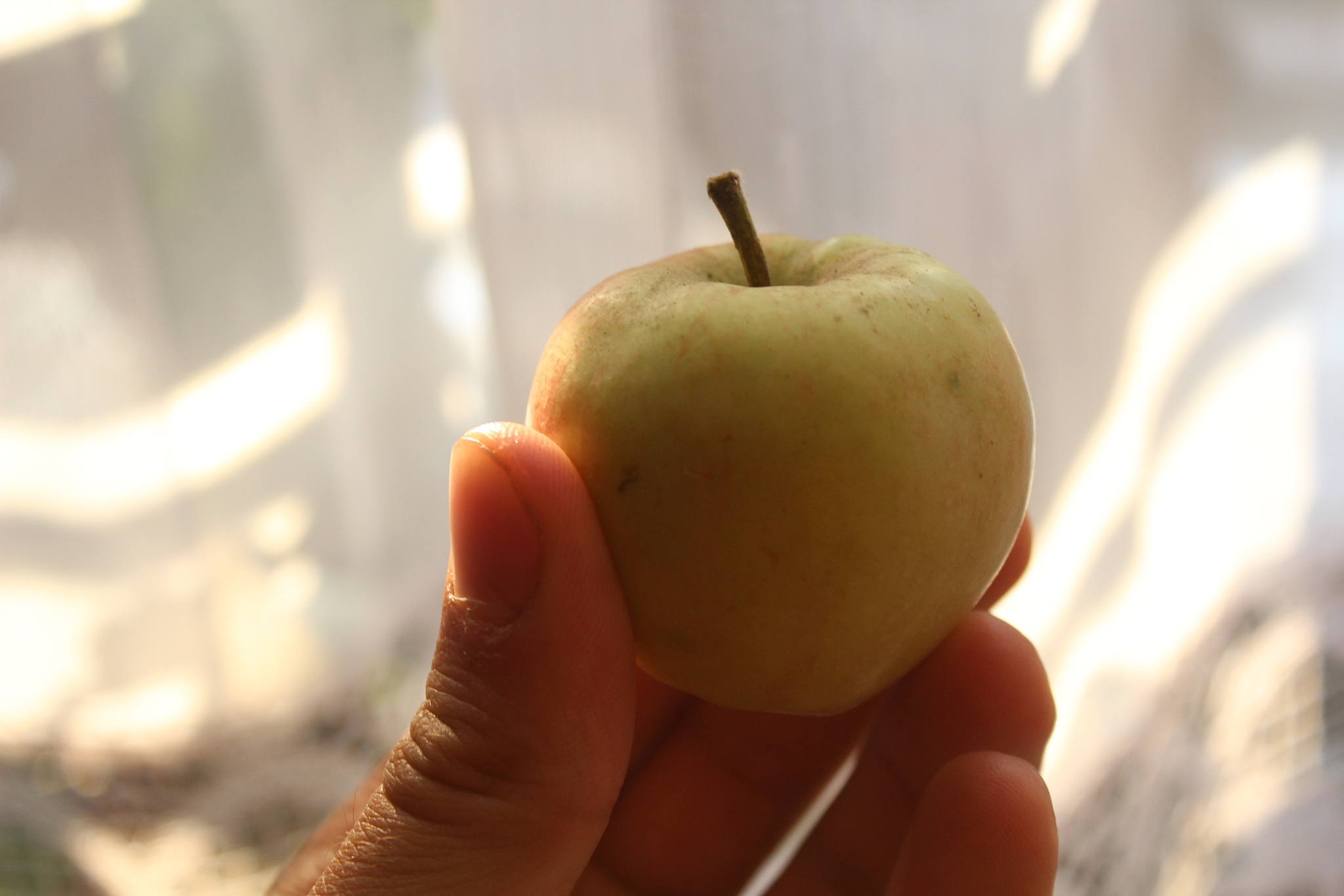 little apple