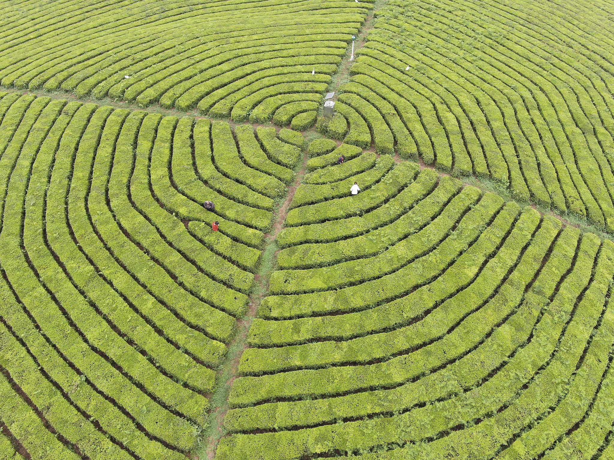 贵州省农业广播电视学校2019年招生专业及相关信息