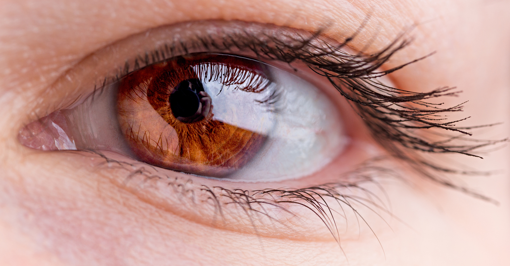 macro image of female beautiful hazel eye