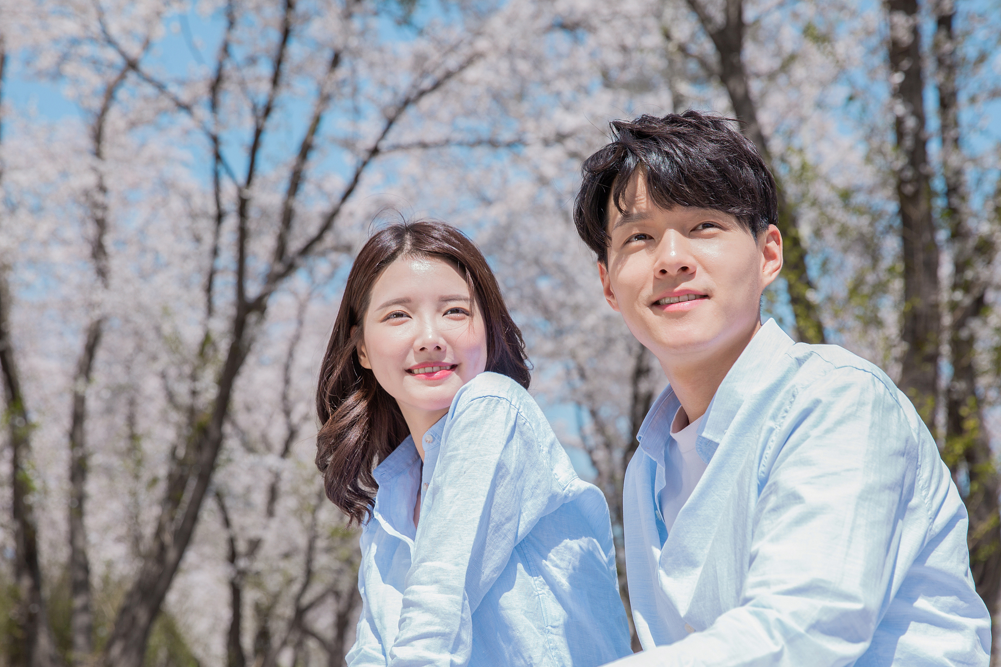 couple, spring, relaxing weekend, cherry blossom, date
