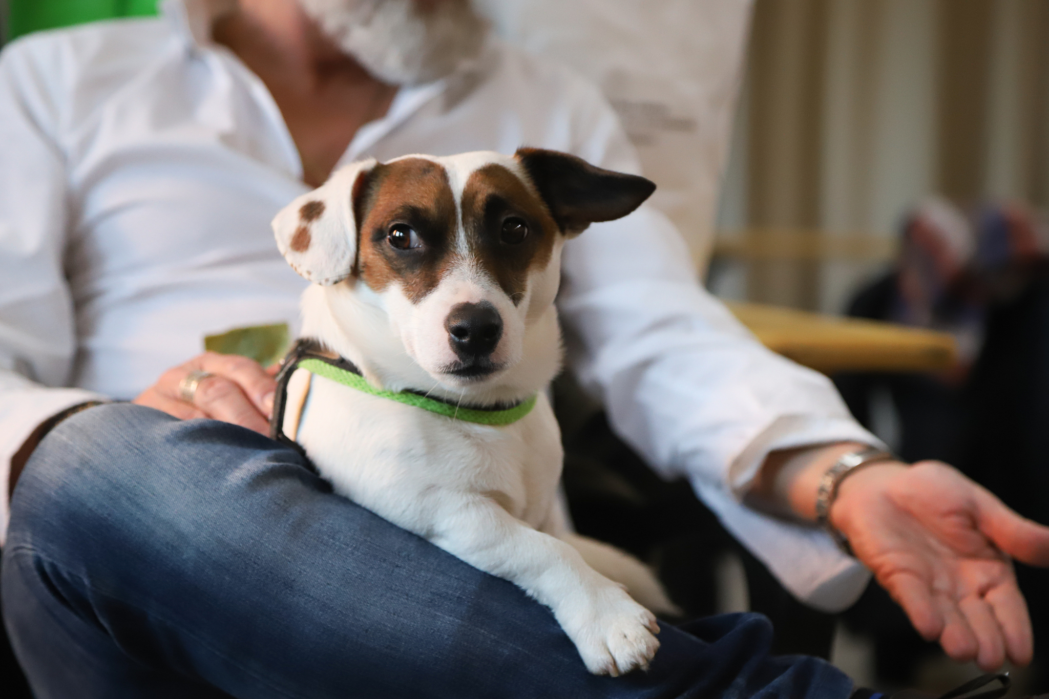 根据以下内容写出一条30字左右的短视频标题：日常生活应该注意什么才能保证狗狗的身体健康？