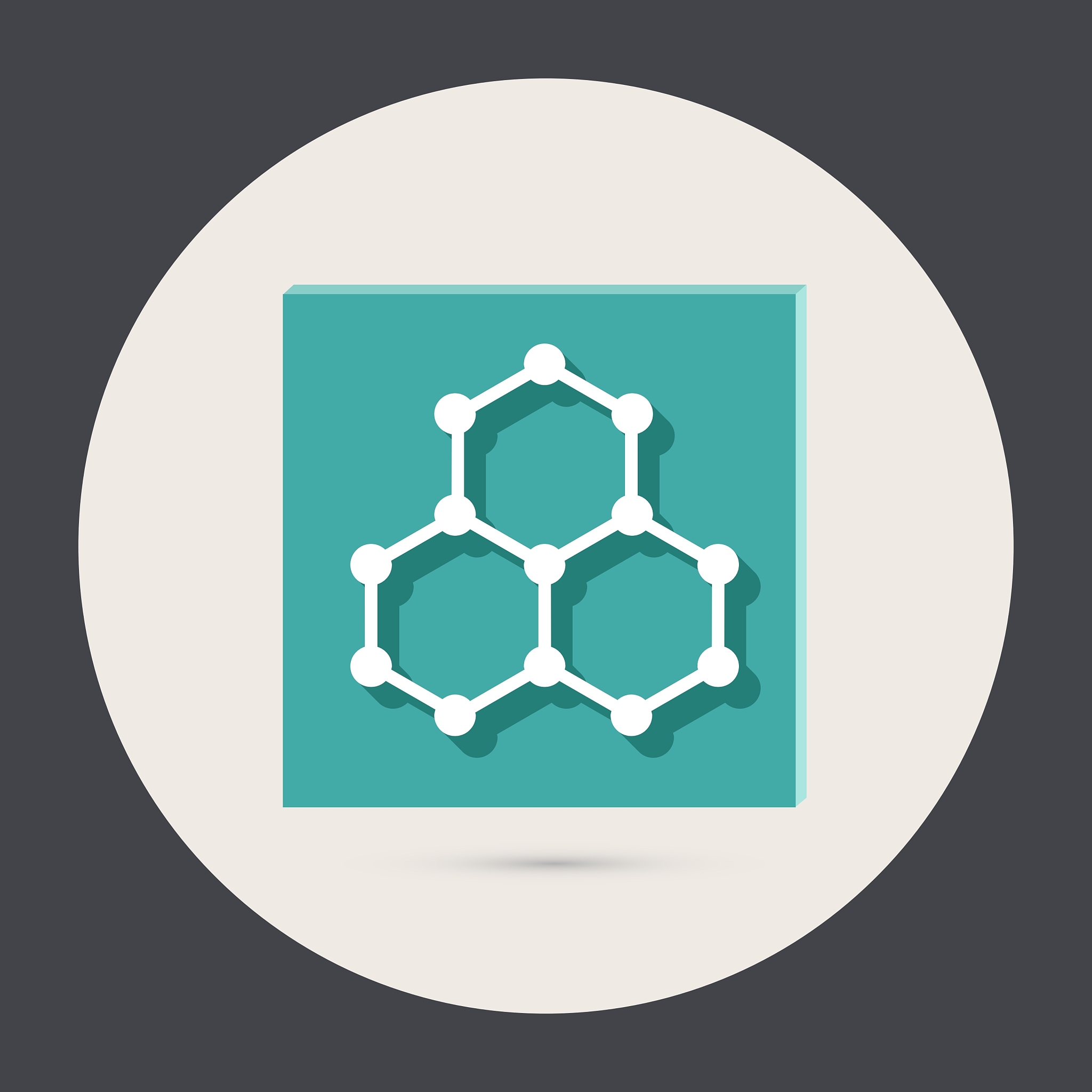 贵州轻工职业技术学院重点专业：食品、机械、电子信息等