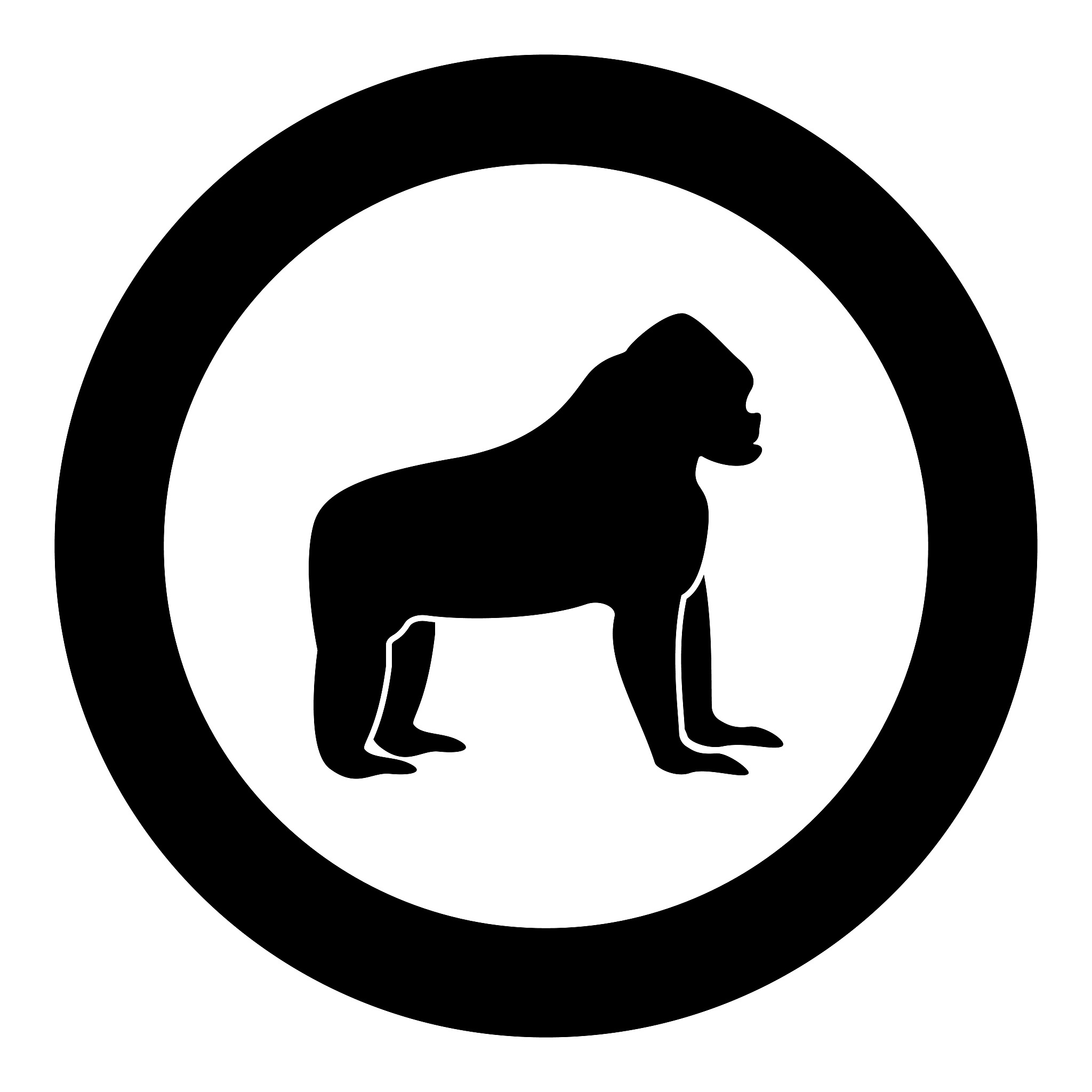 观猴记：动物园里的调皮小精灵