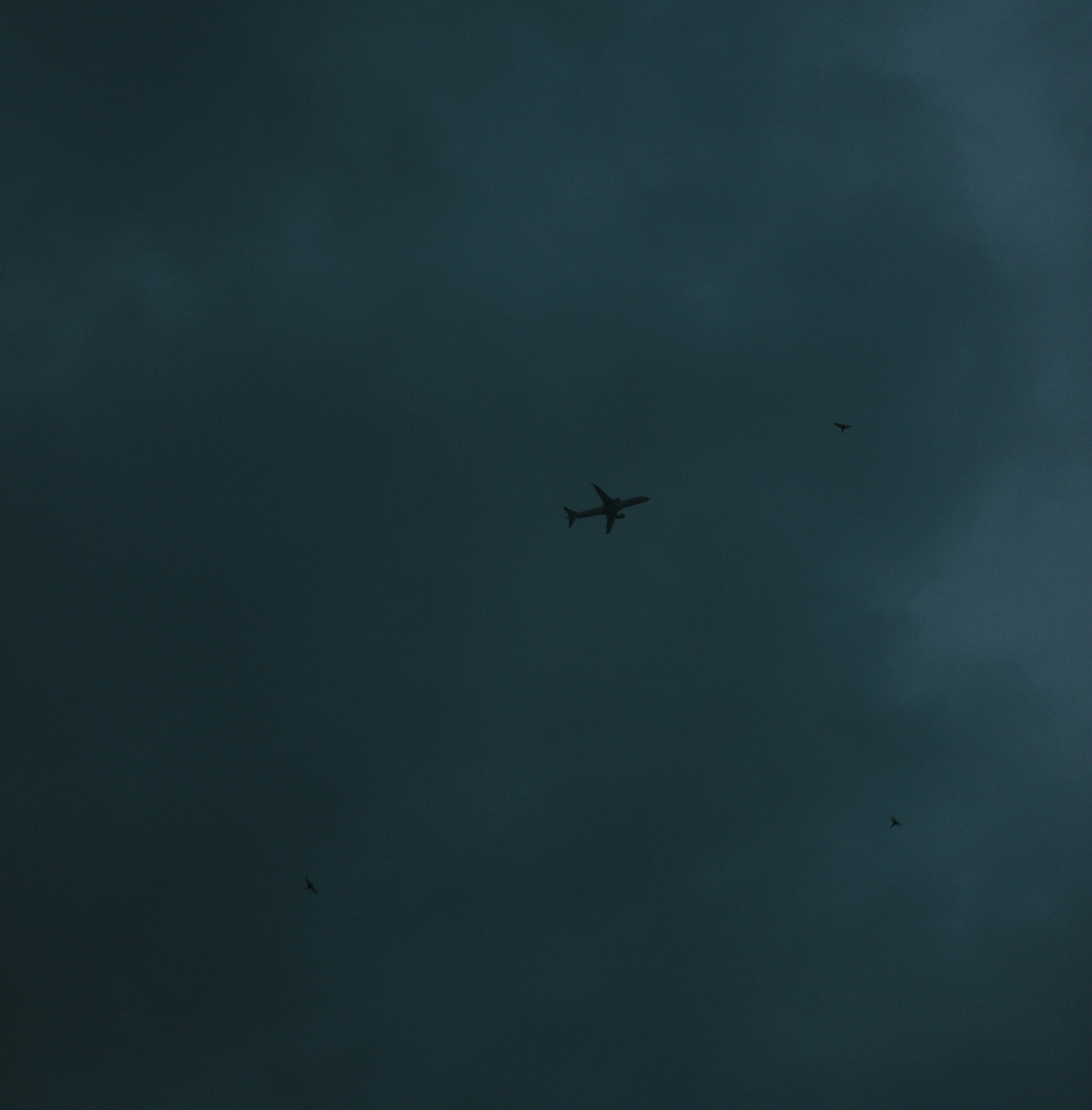 low angle view of silhouette plane in the sky