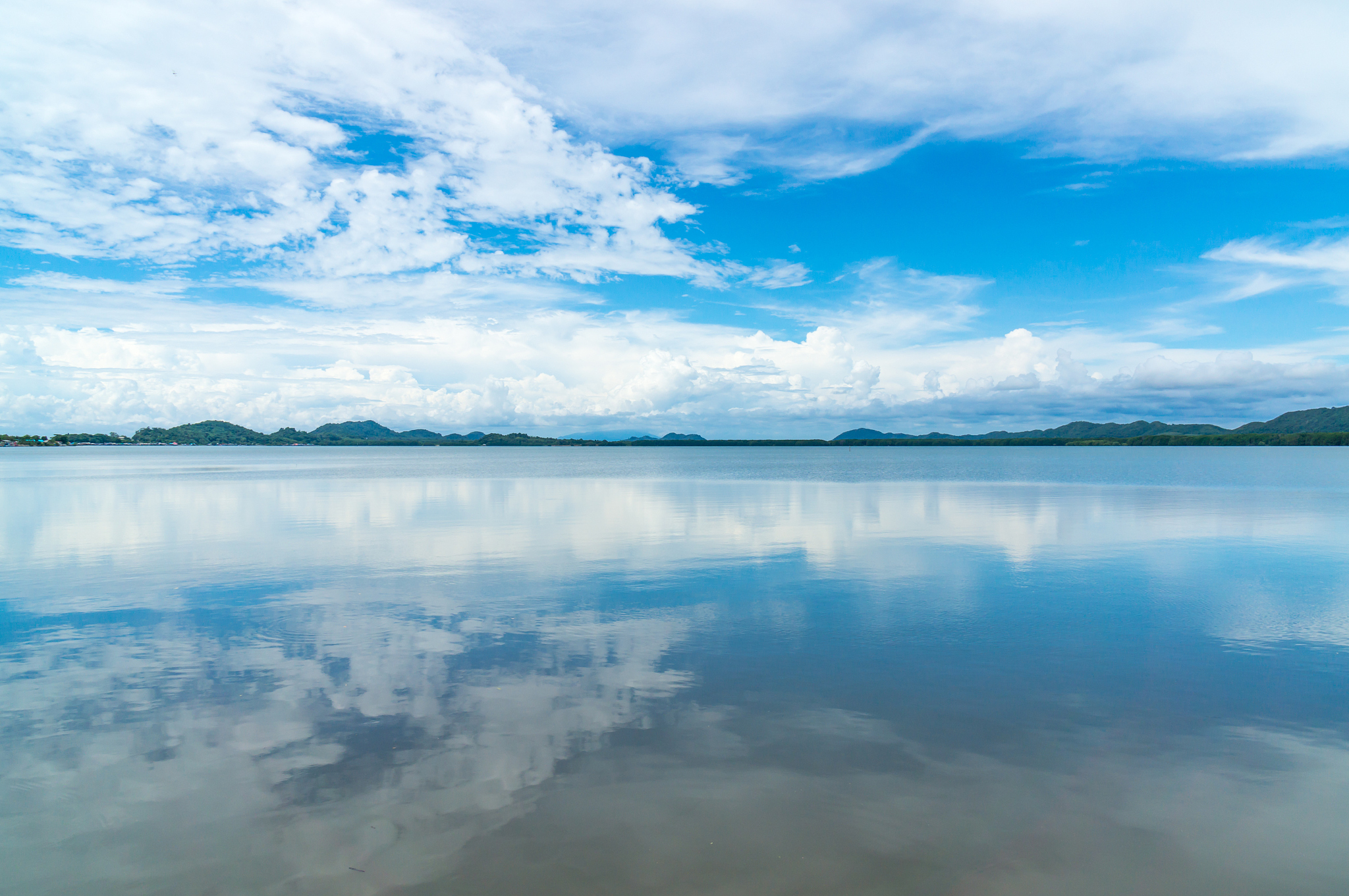 reflex picture of sea and blue sky at  mangrove forest
