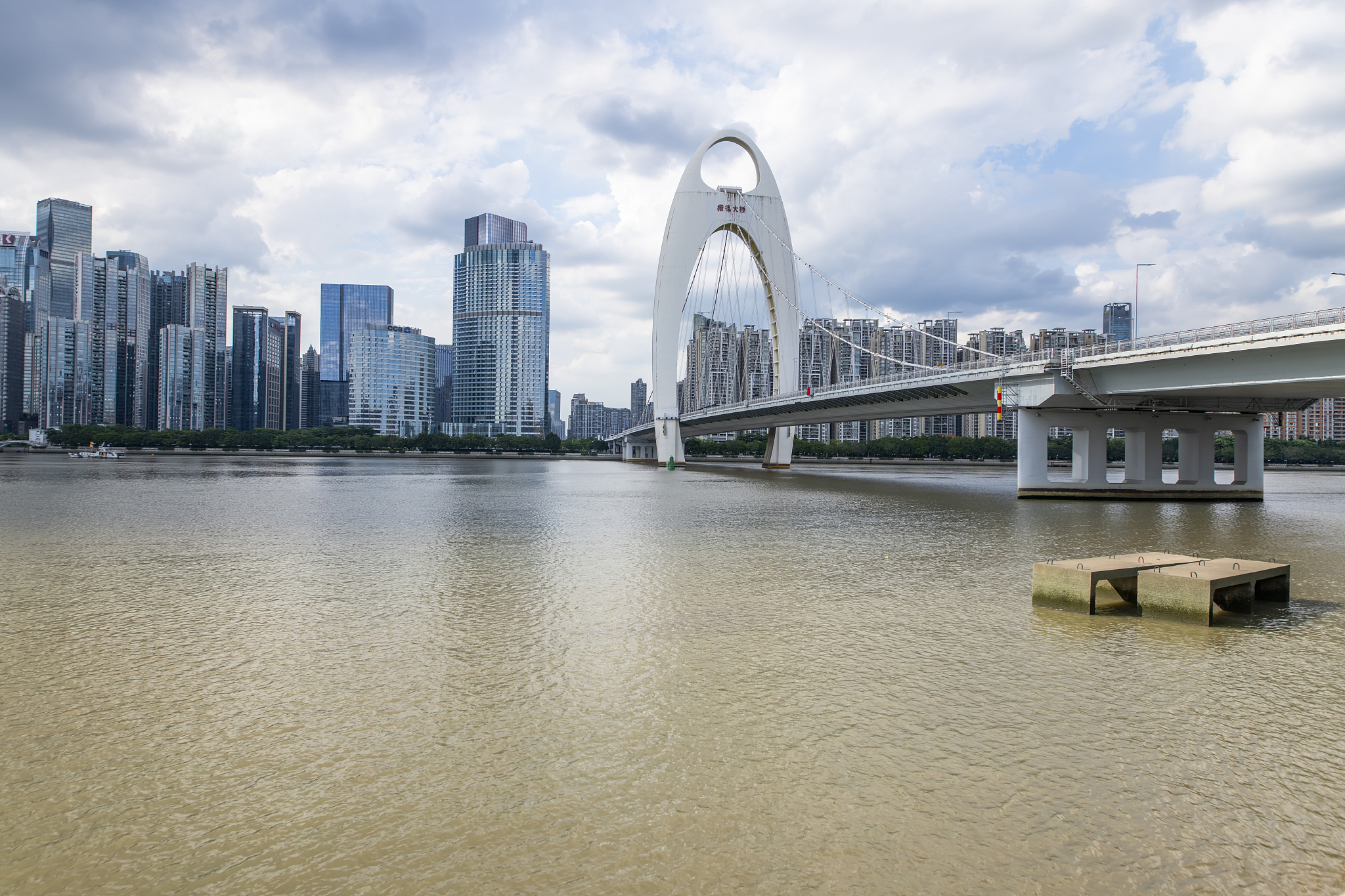 广州珠江职业技术学院专业建设：优势、问题与未来发展