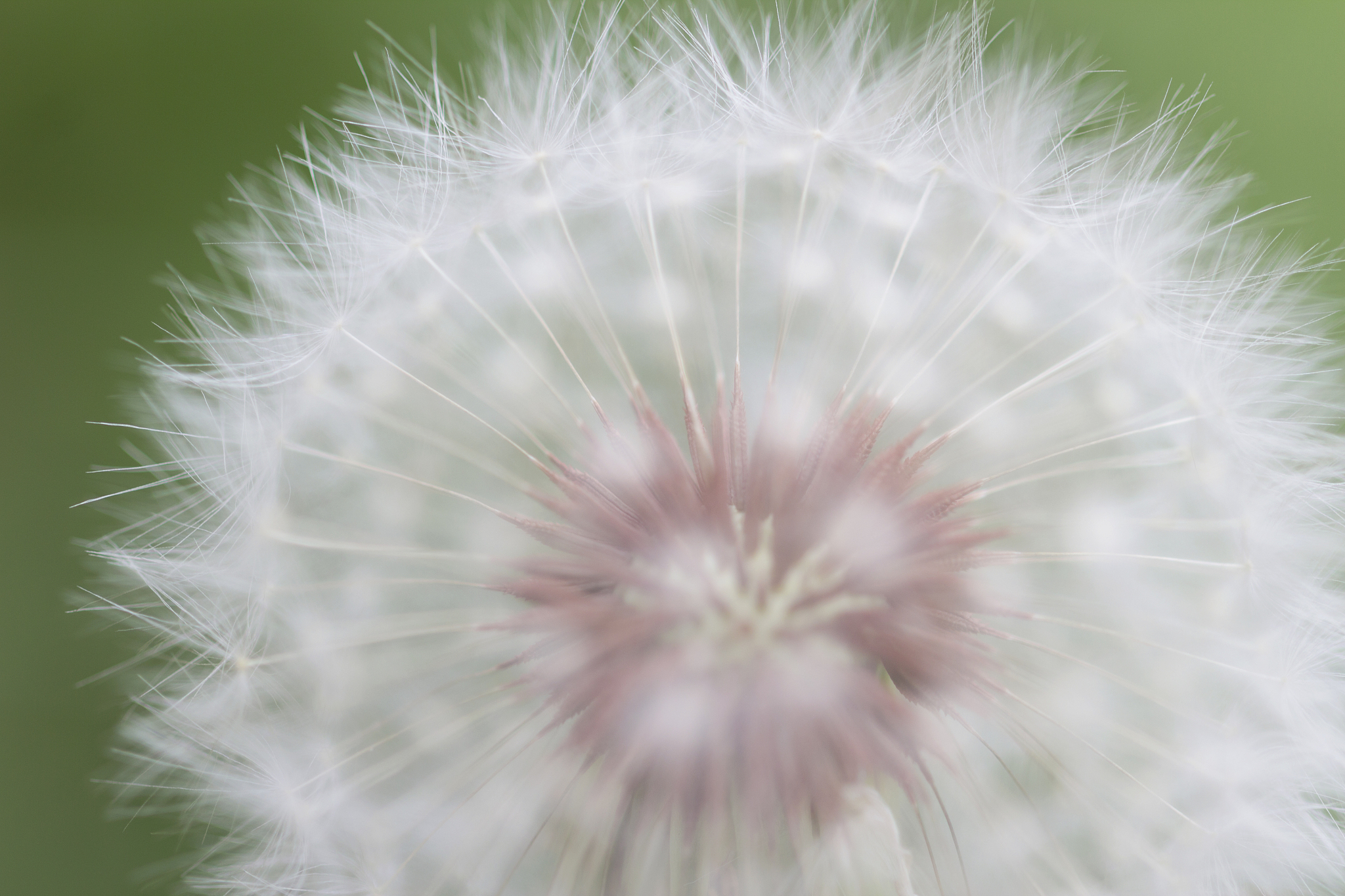 商丘职业技术学院种子生产与经营专业怎么样好学吗怎么样