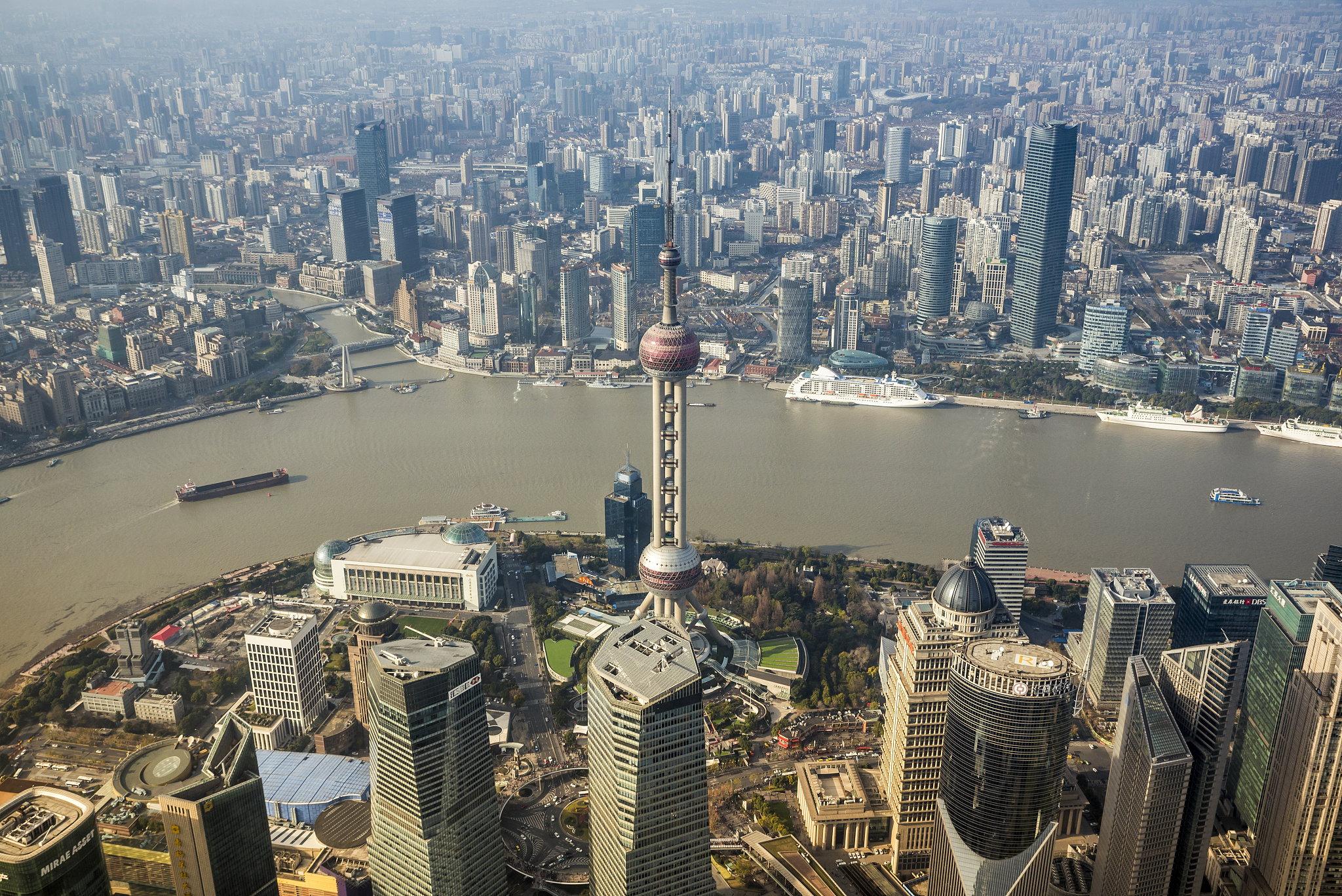 上海电子信息职业技术学院有药剂专业吗