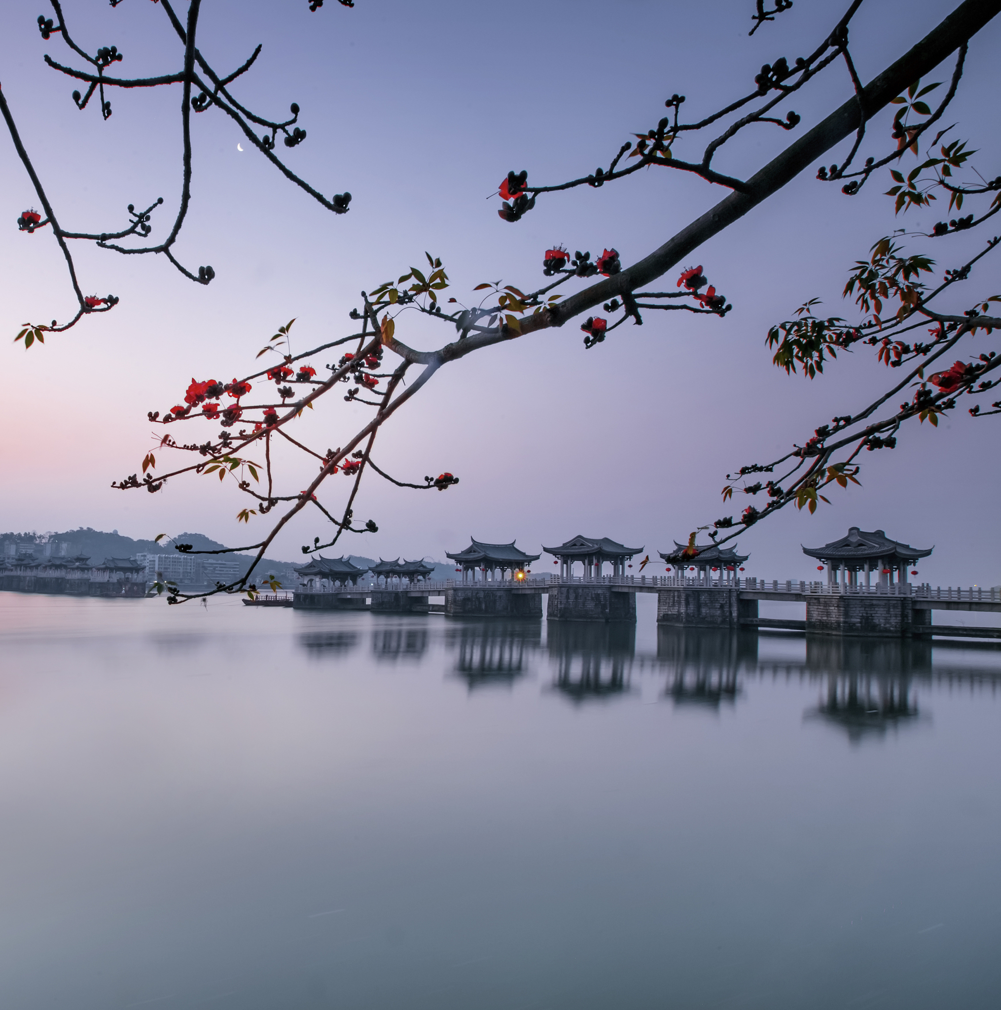 潮州市民服务热线：便捷高效的民生服务平台