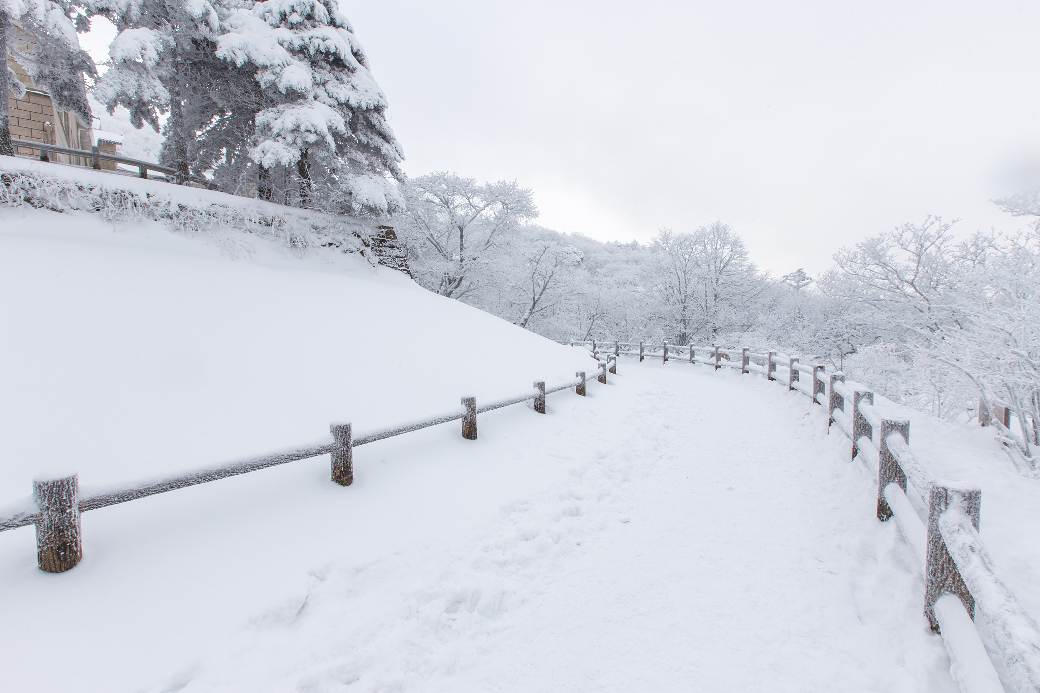 黄山旅游管理学校2022年招生简章：培养旅游管理人才，成就美好未来