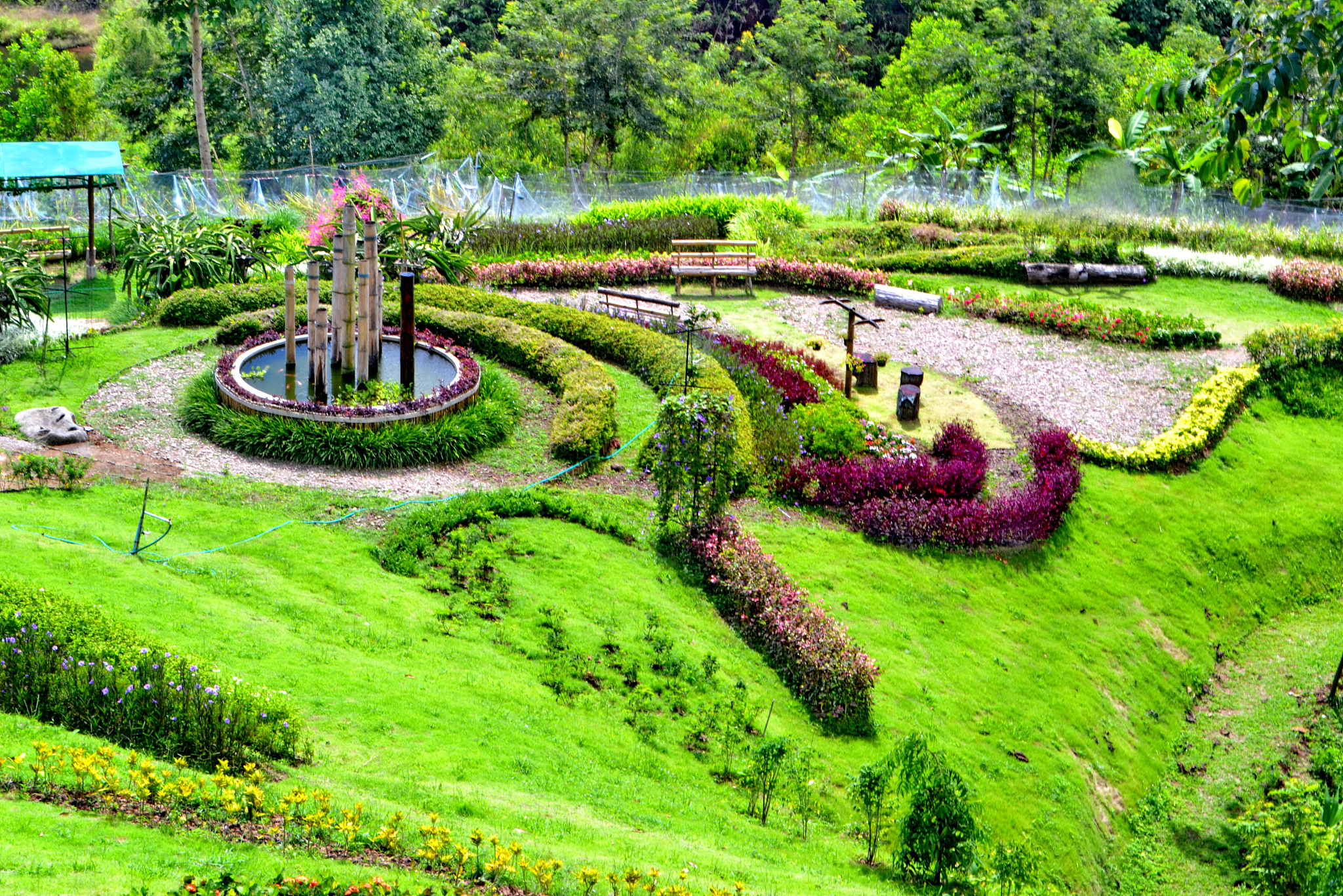 园艺技术专业就业前景分析：未来发展方向及所需技能