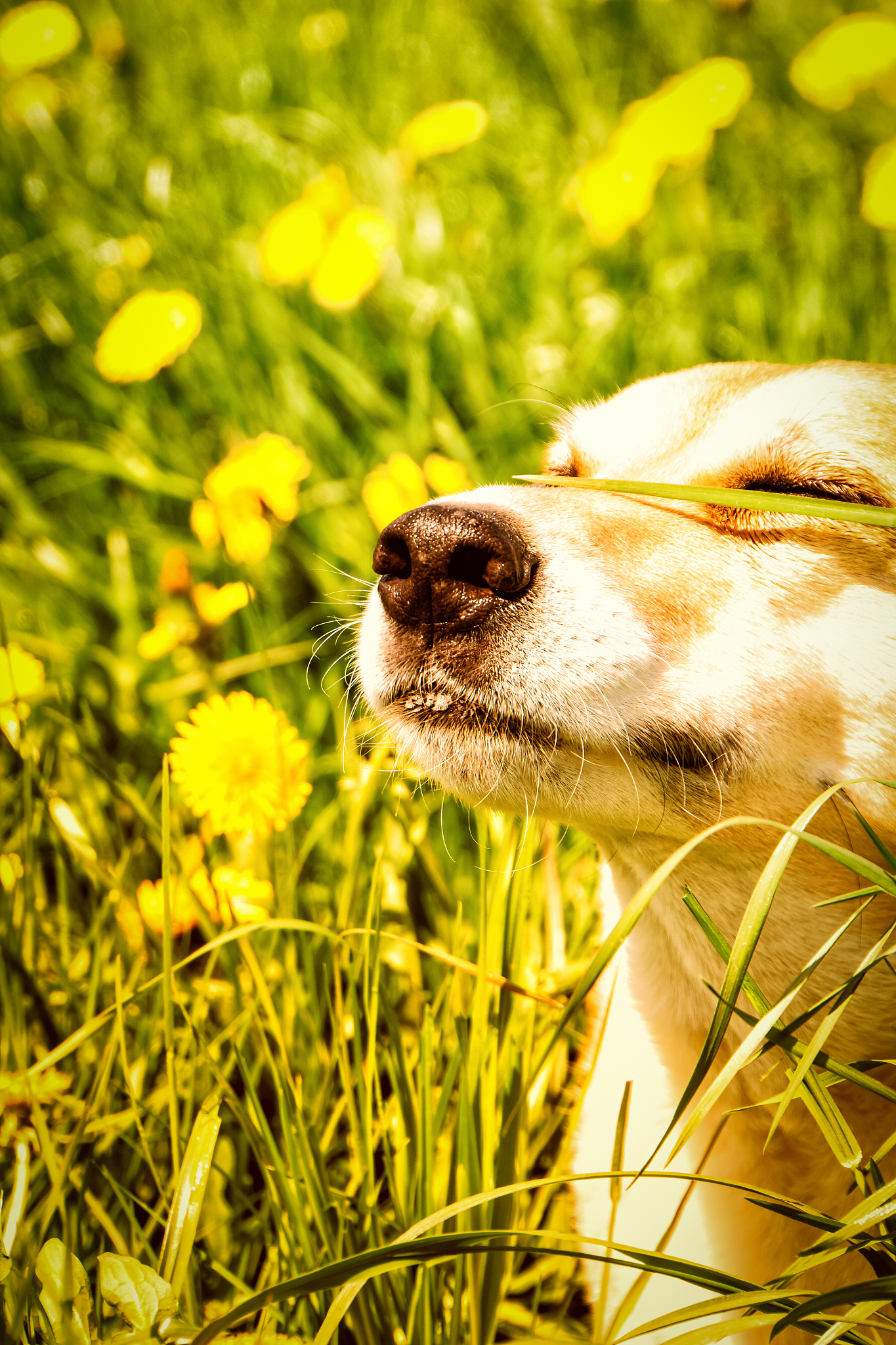 晋中市媒体曝光求助热线是多少？最管用的曝光平台 要求：创建一篇1500至2000字的解决方案