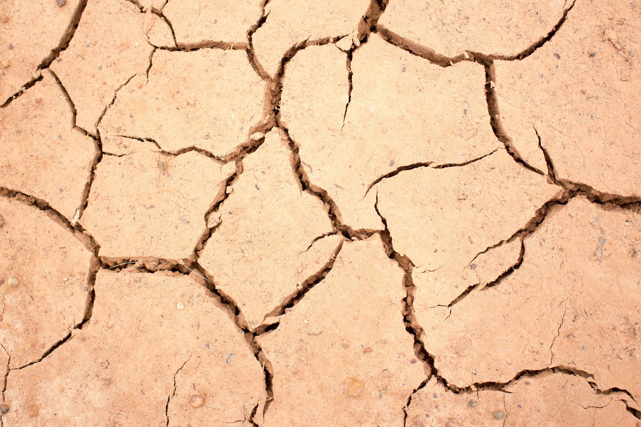 LAND期刊研究范围: 土地科学、管理、利用、规划及政策