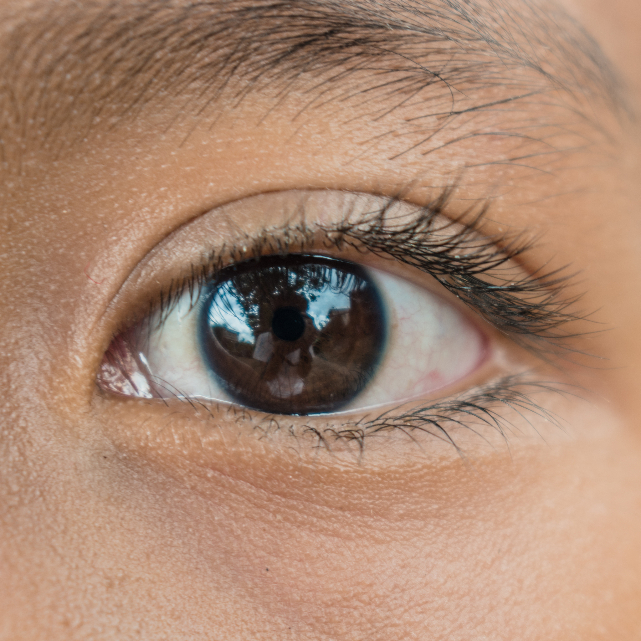 asian kid with brown eyes