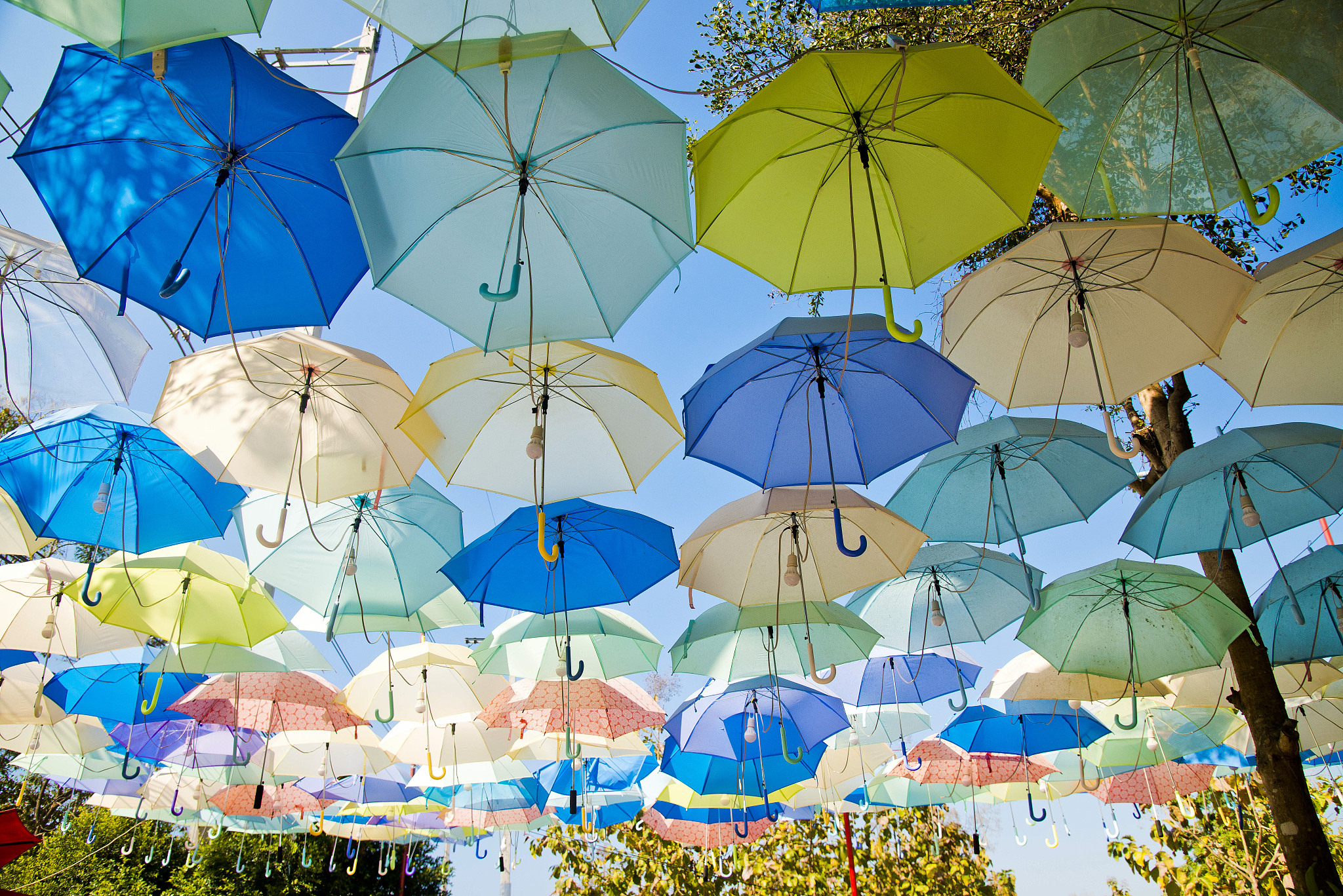 colorful umbrellas at pai thailand