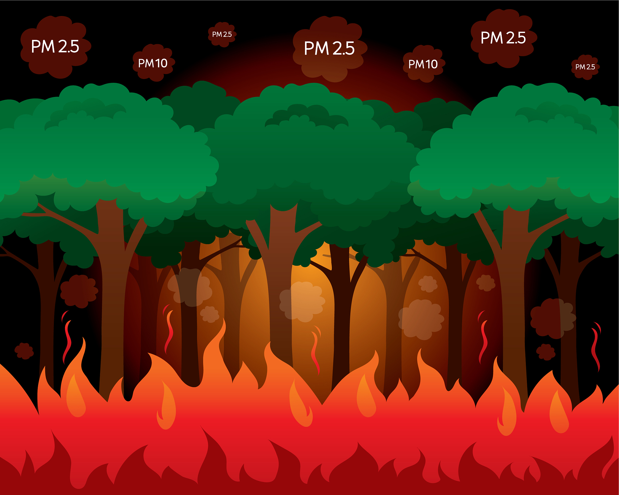土壤微生物呼吸对温度的响应不受热适应的影响