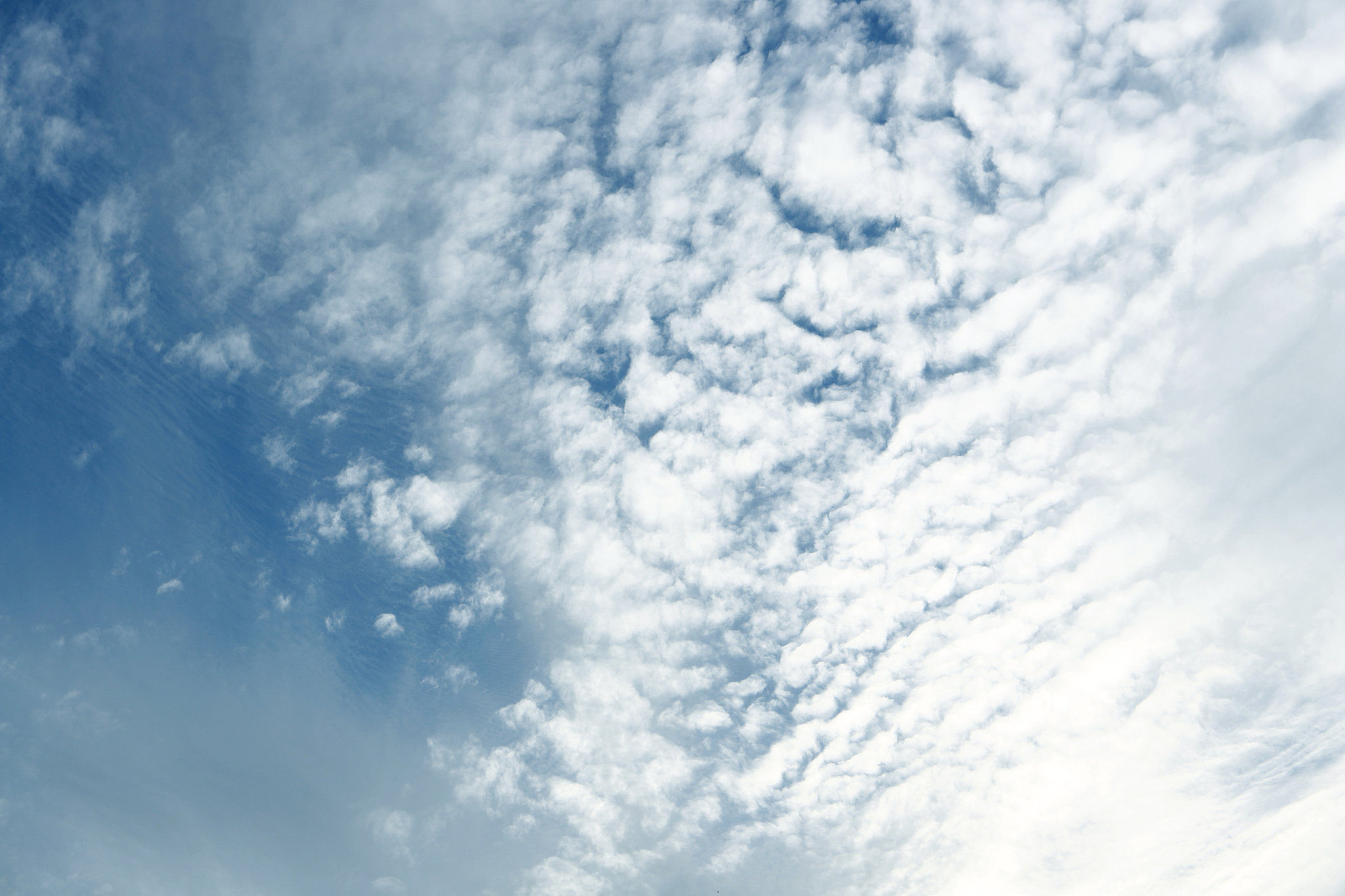 四川国际标榜职业学院五年制大专专业介绍：2021年招生计划及就业前景