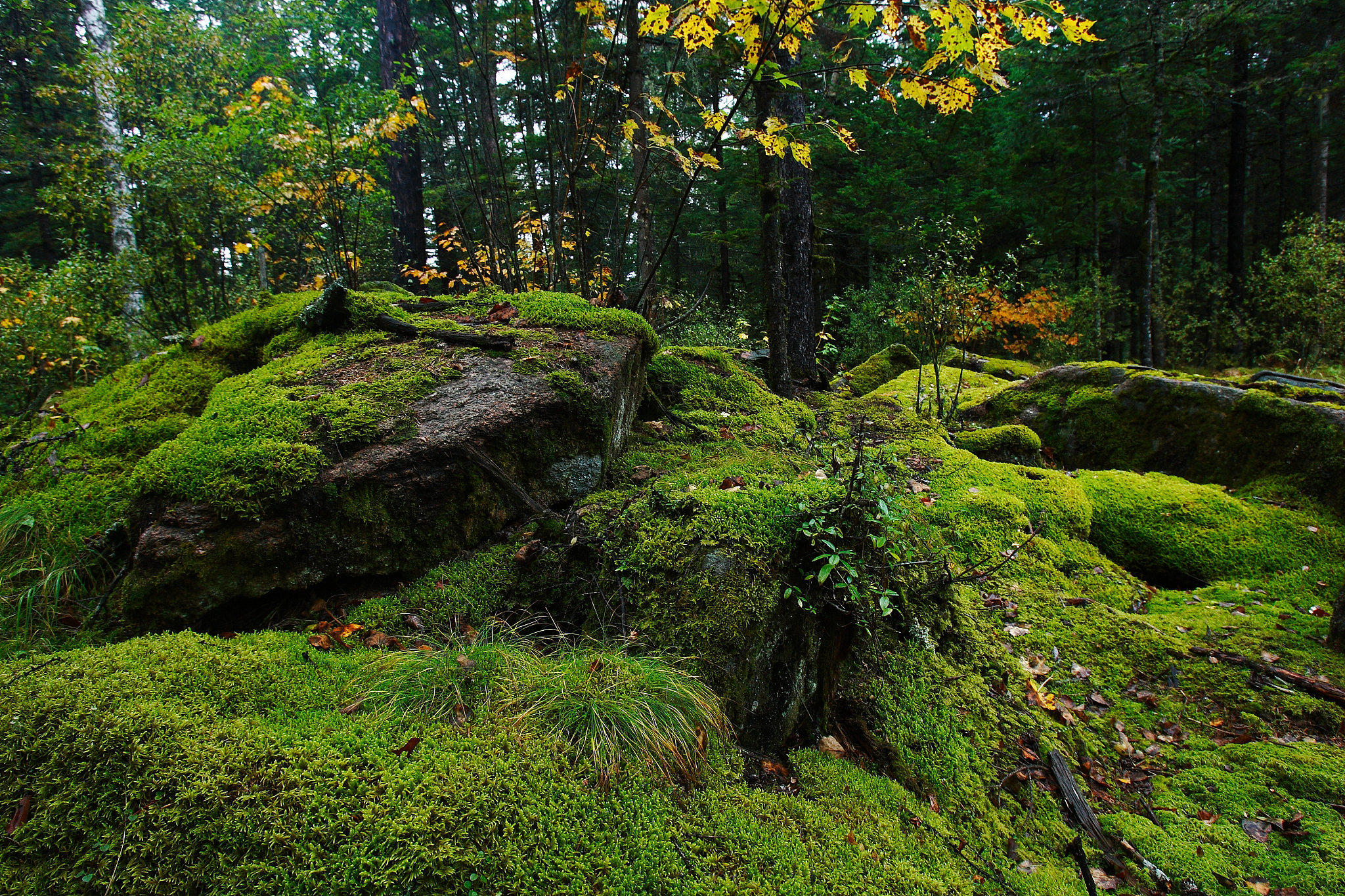 2020黑龙江省中专学校有哪些？