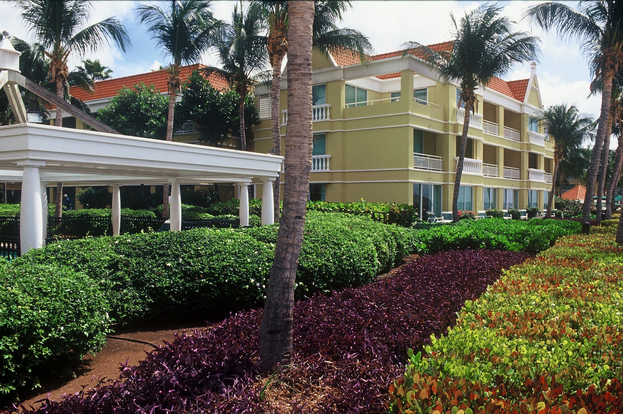 广西城市职业学院园林技术专业怎么样