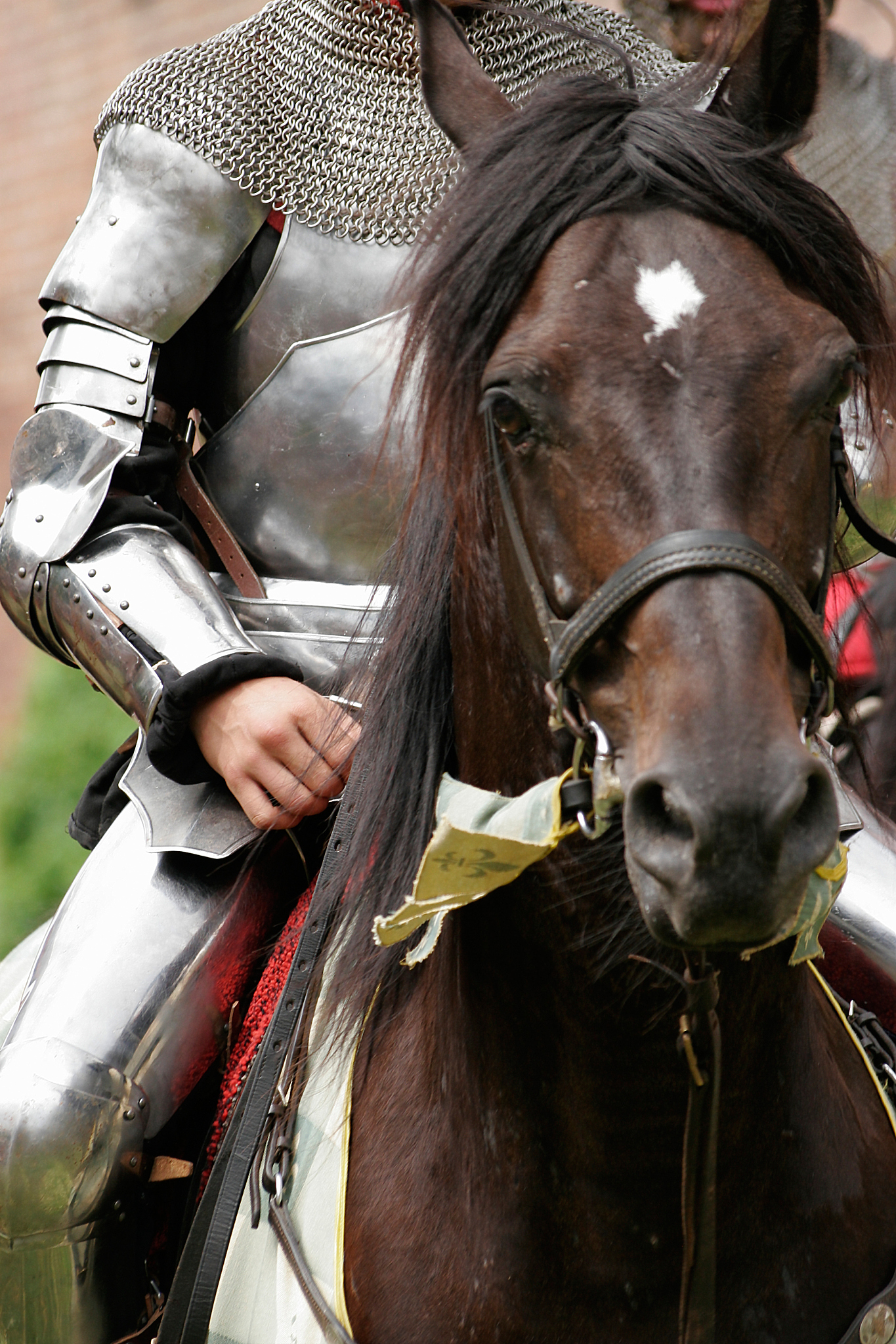 knight