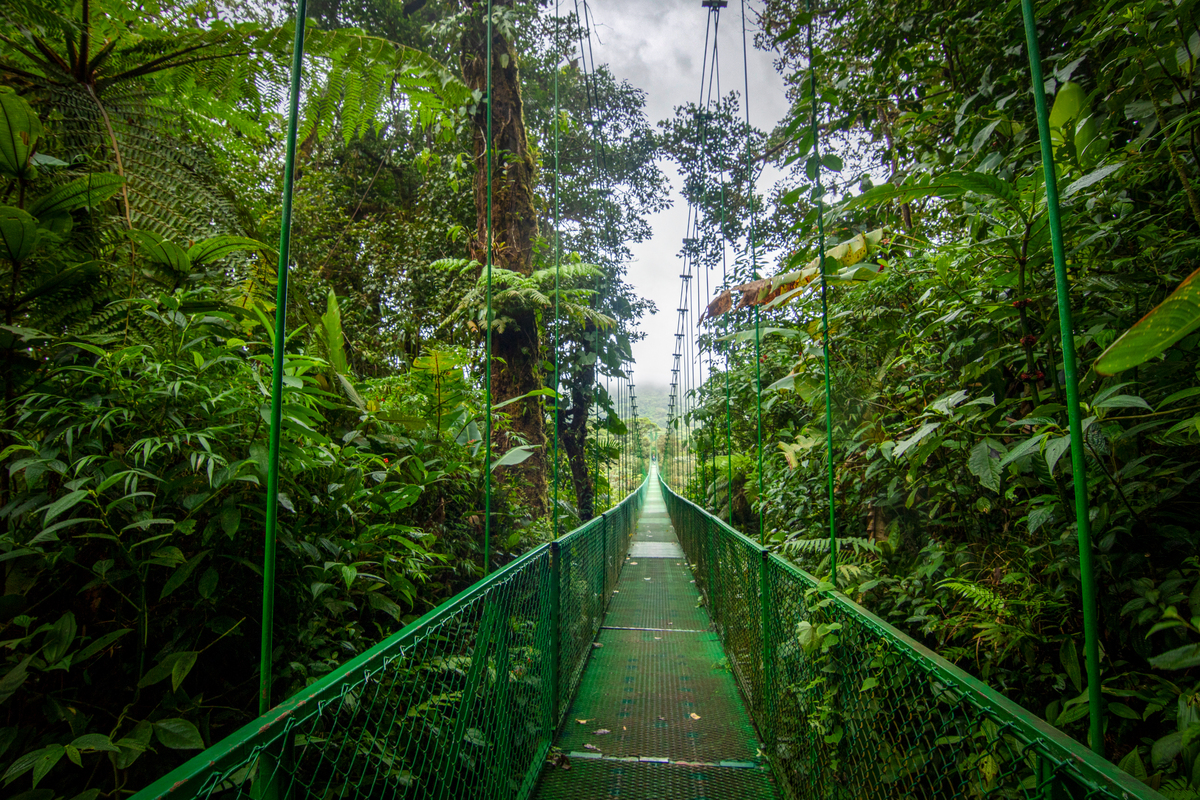 南山镇谷雨节：探寻自然风光与传统文化