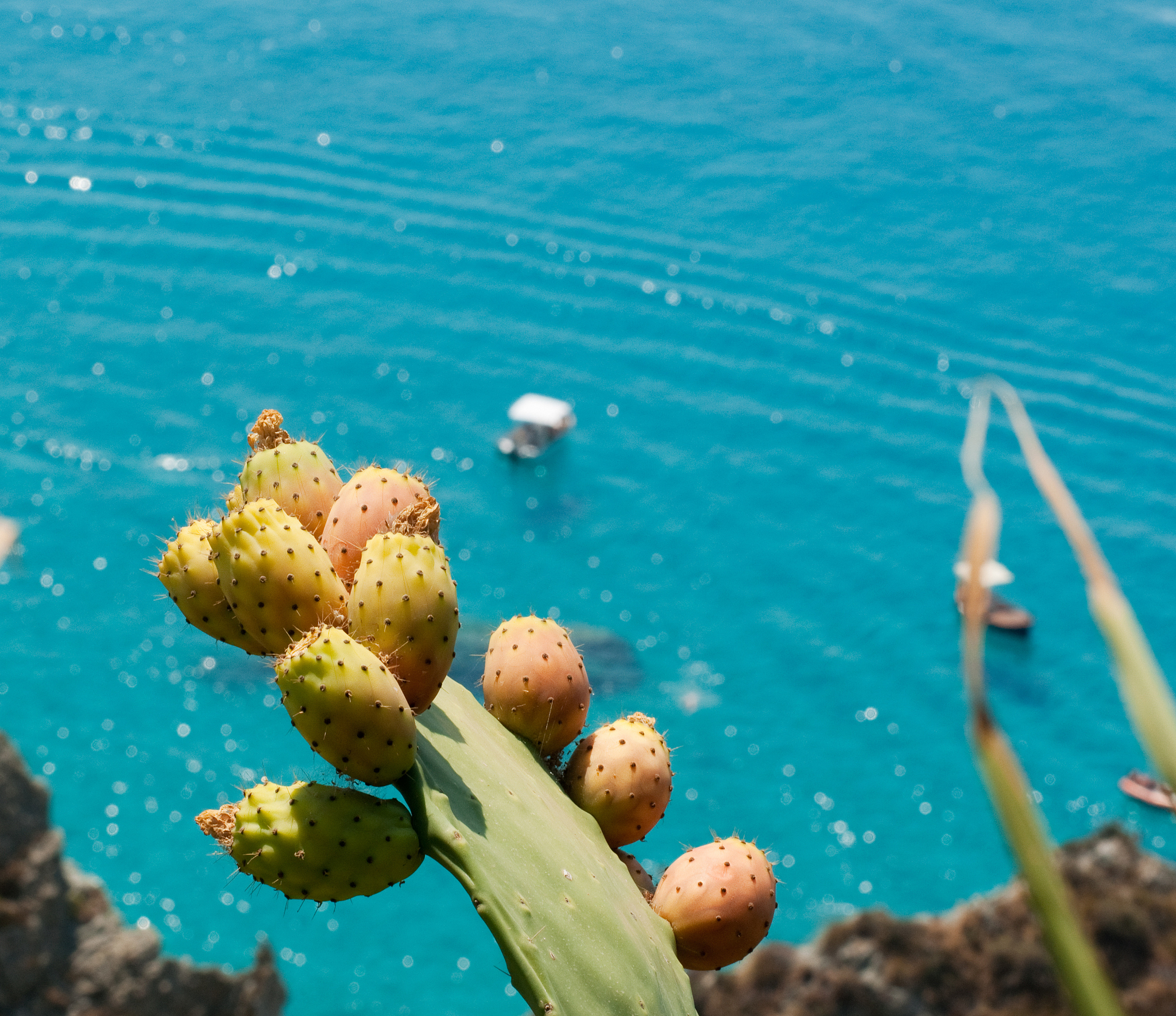 80年代以降の少年マンガ雑誌とメディアミックスの関係 - アニメ化、映画化、グッズ展開による作品の進化