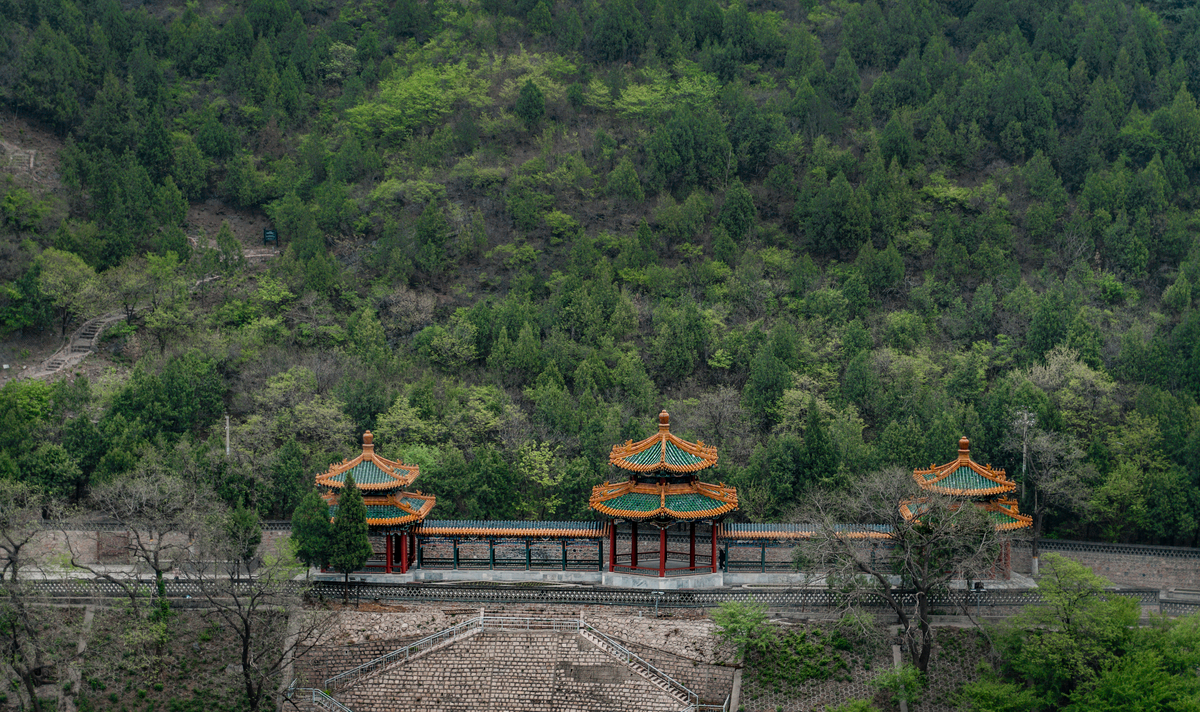 文化遗产保护与国际合作：共建人类文明的宝贵财富
