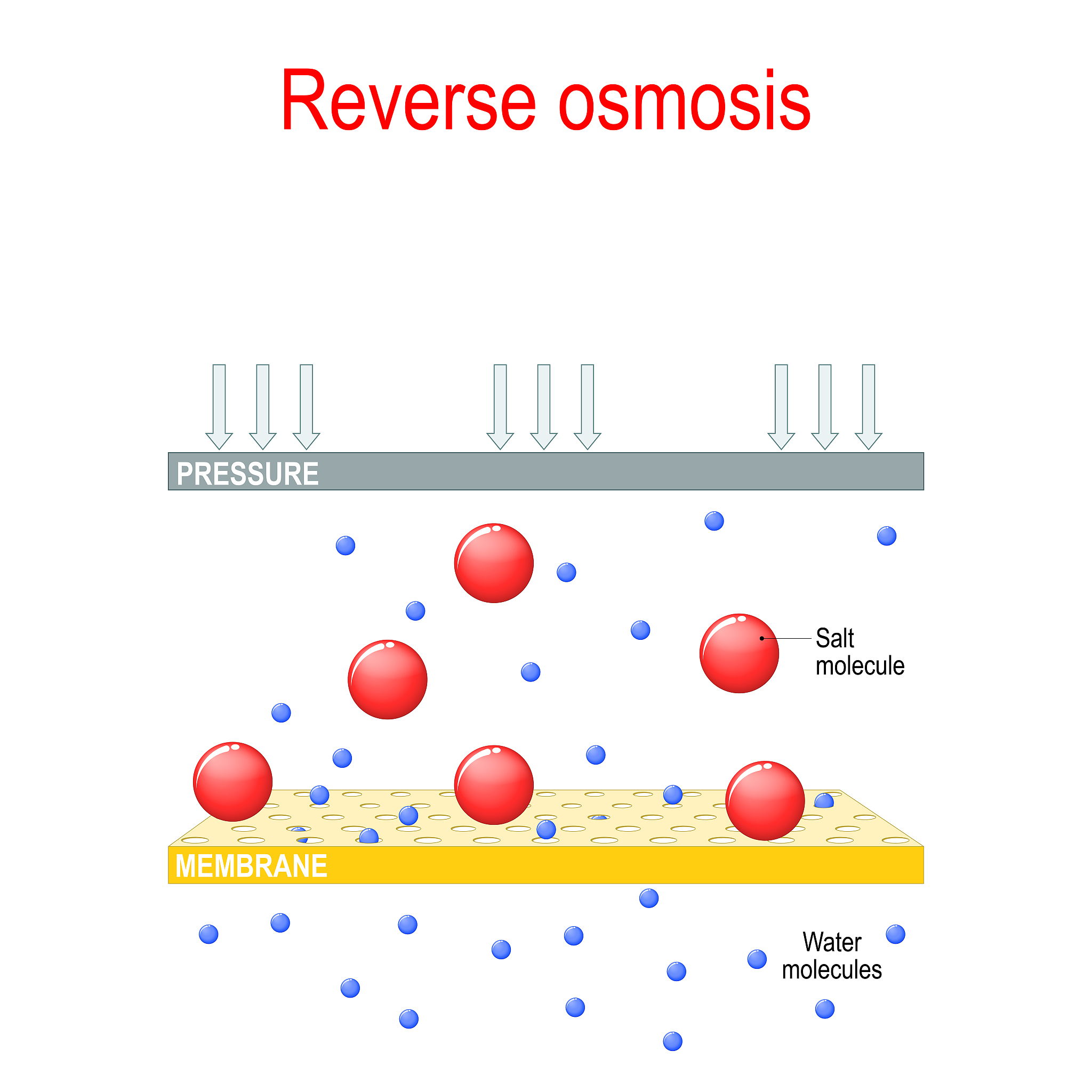 PEG壳聚糖搭载聚丙烯酸形成pH响应水凝胶