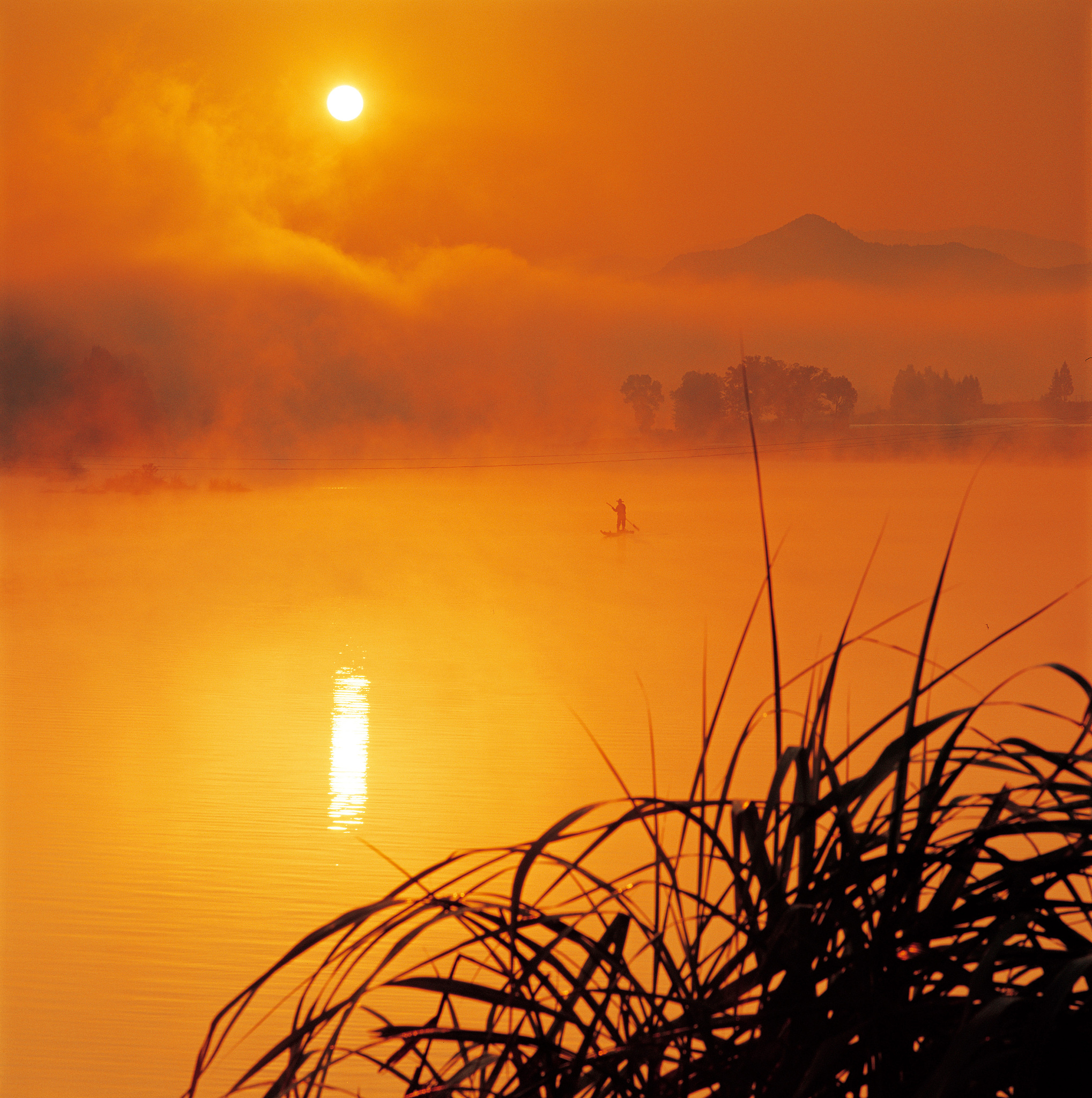 青山依旧在几度夕阳红 作者是谁？ - 白居易诗词赏析