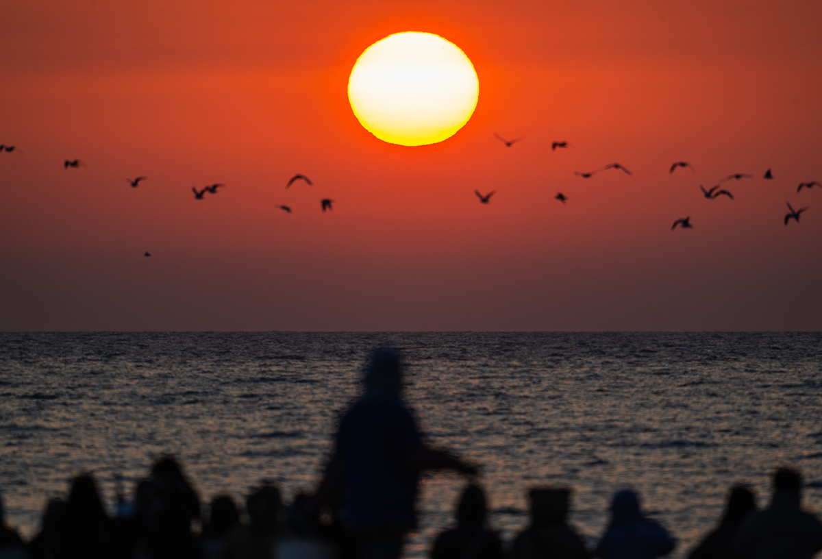 海边追日落：古诗赏析，感受夕阳美景