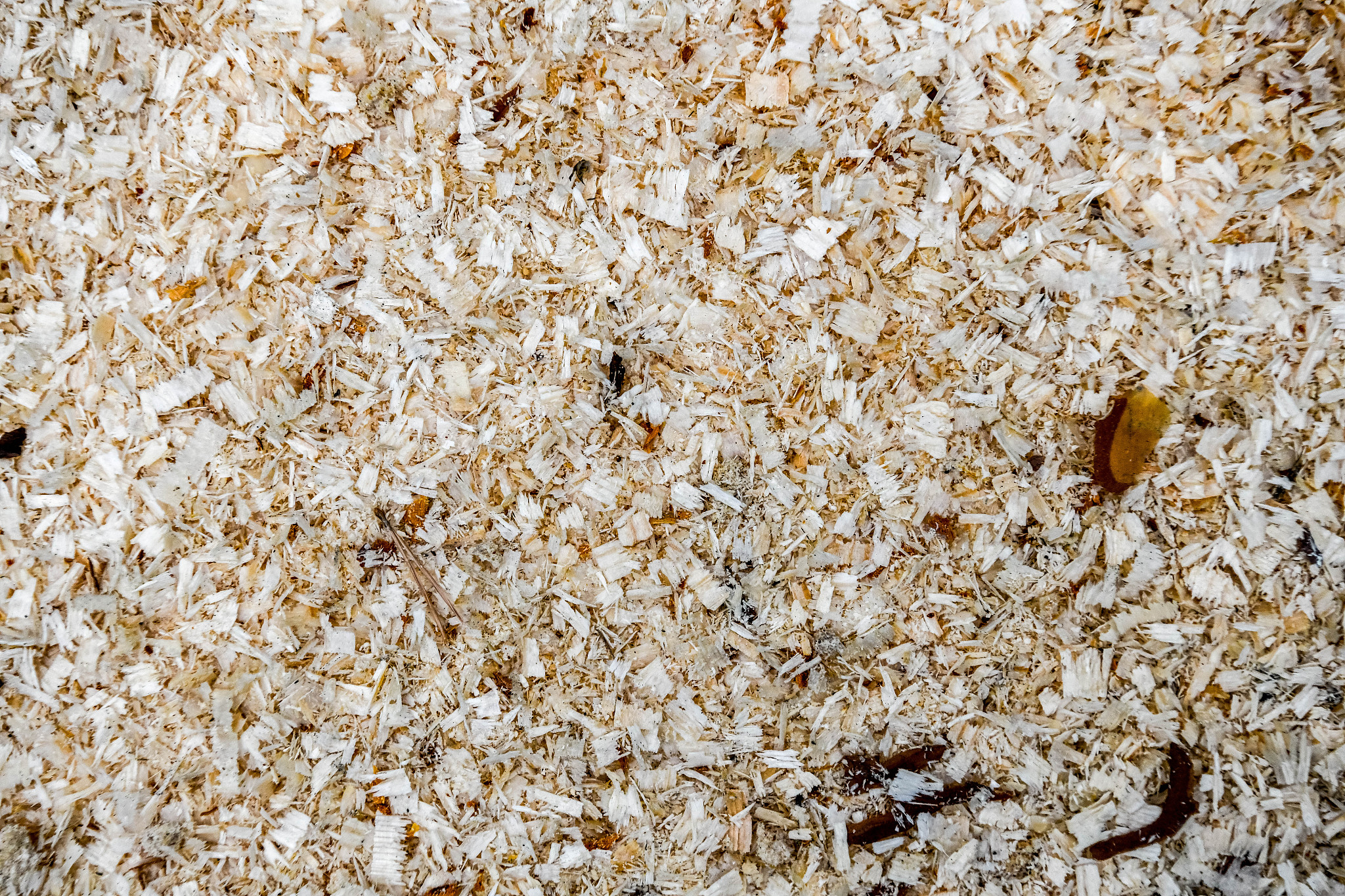 natural texture