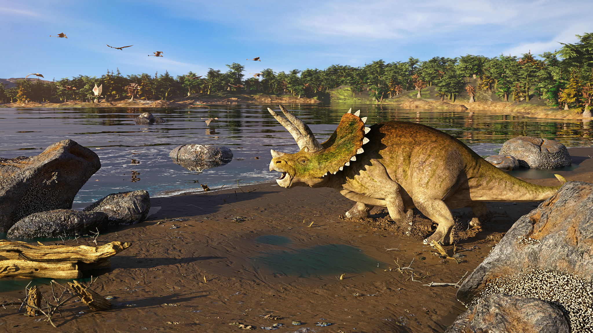 triceratops horridus dinosaur at the ocean