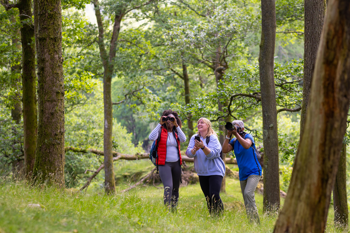 享受自然美景，带孩子去森林公园感受天然氧吧