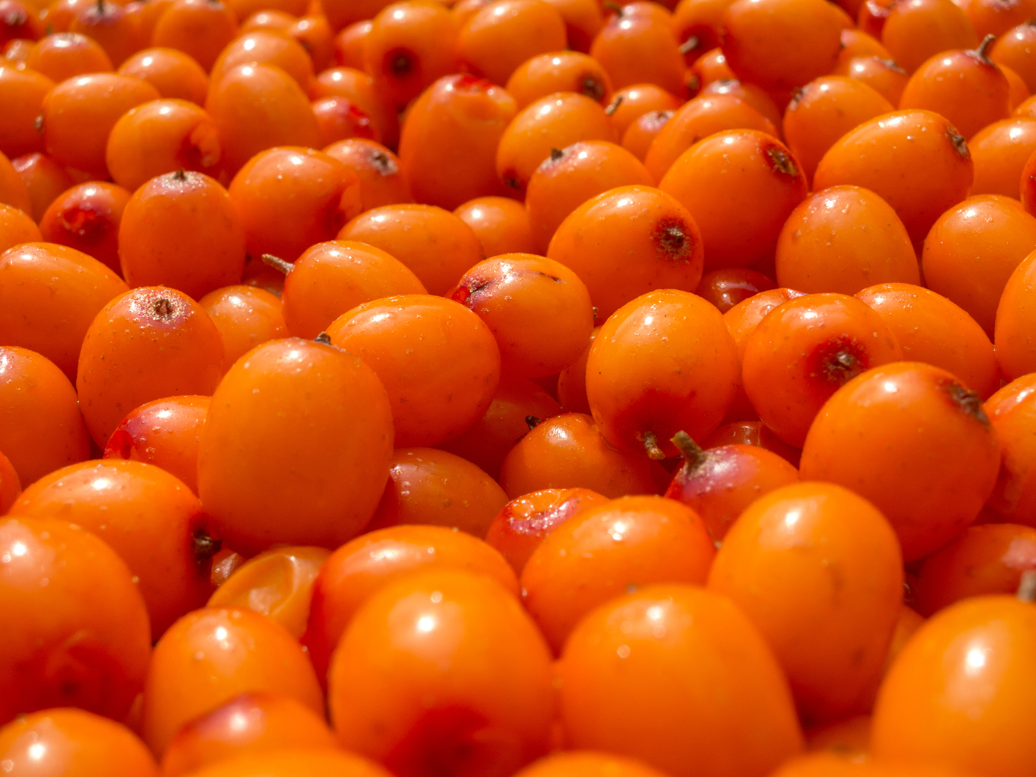 鼎鑫天然沙棘手工精油皂是否有抗氧化功效？