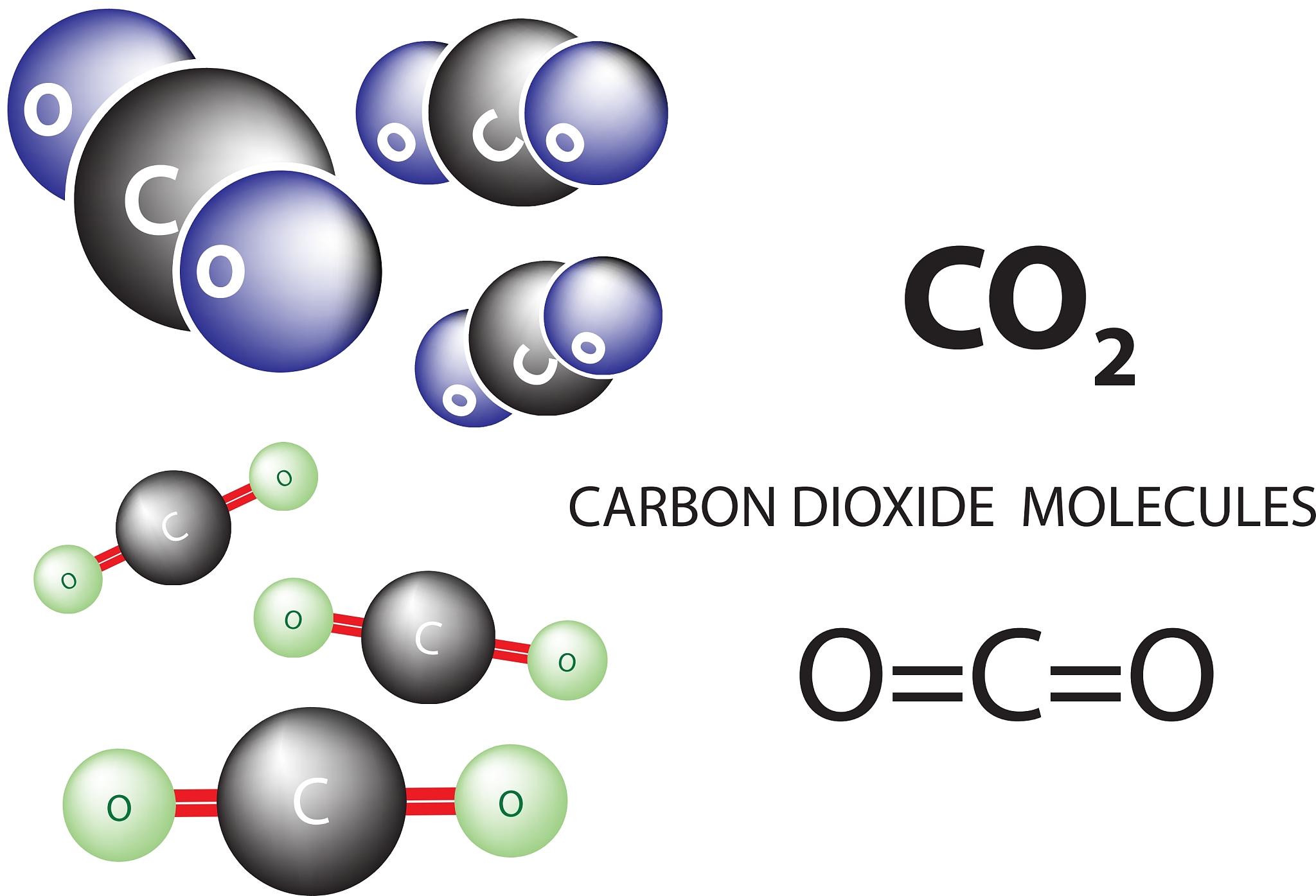活性氧reactive oxidative species ROS是由O2的连续单电子还原而产生的一系列毒性中间物在植物体中主要包括超氧阴离子O2-、过氧化氢H2O2、羟自由基OH 和单线态氧1O2-等。把这句话换个表达方式