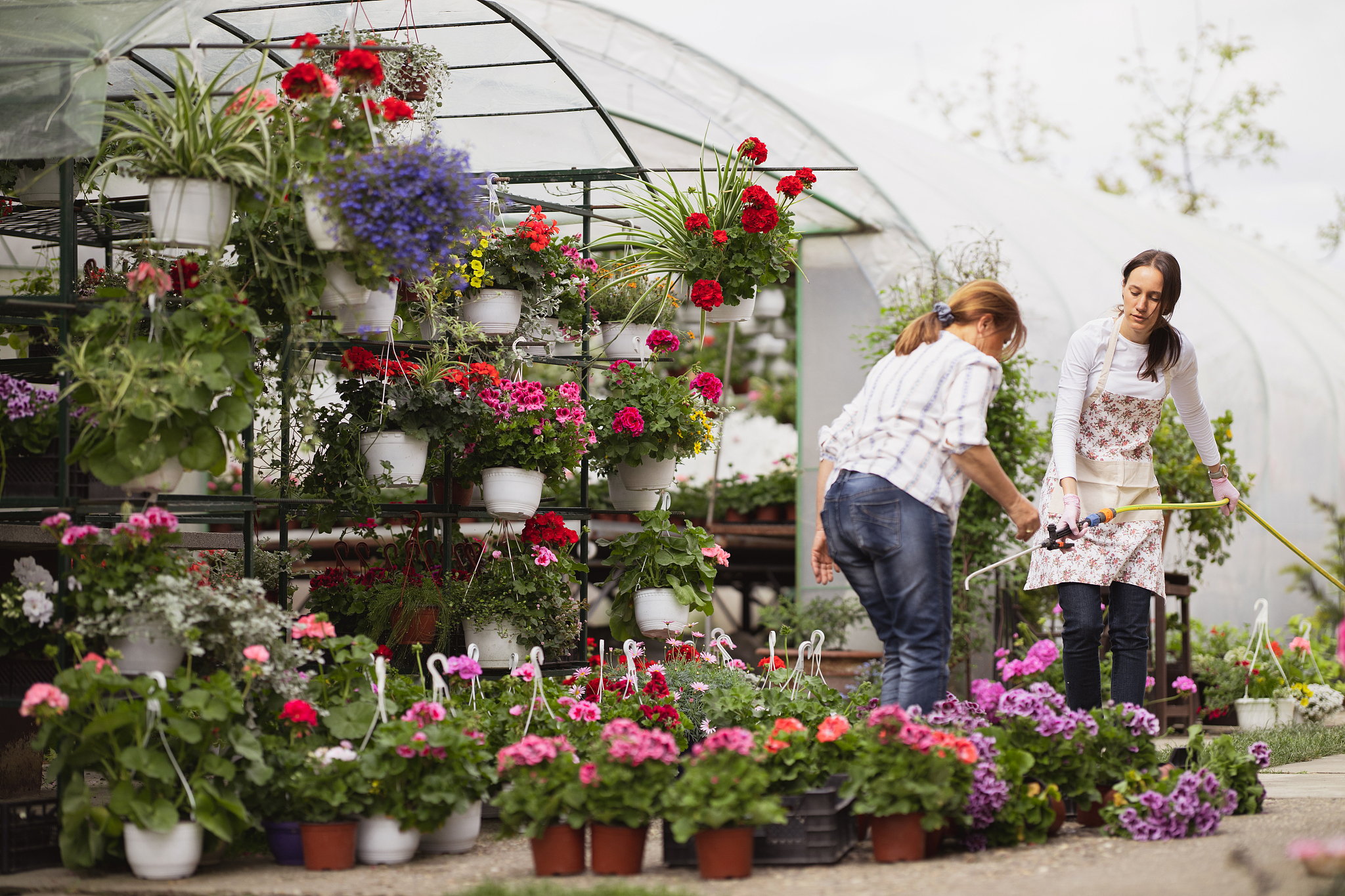 flower nursery