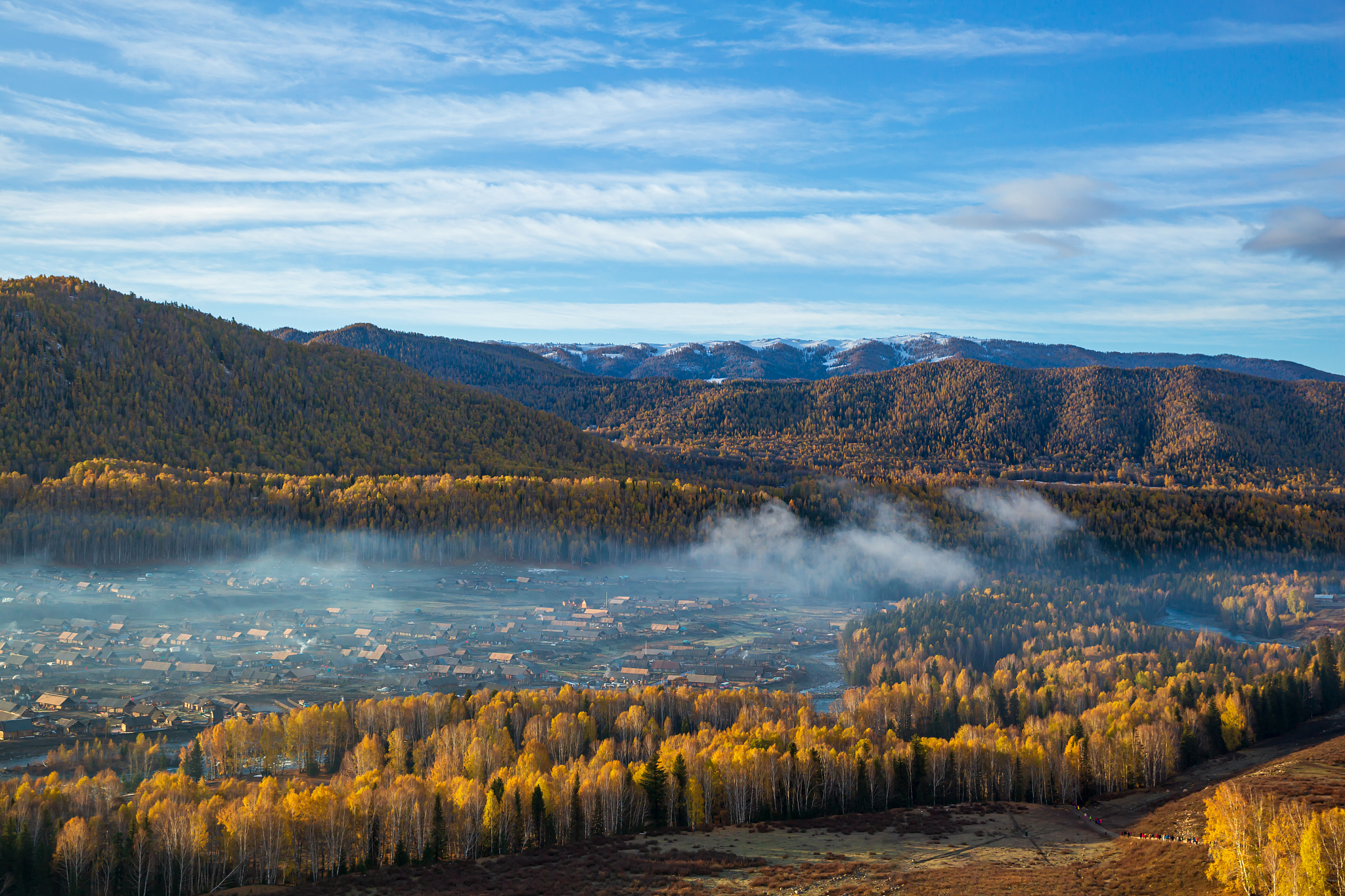 请用100字描述清晨禾木景象山坡草变黄一部分白桦林隐匿在晨雾中若隐若现