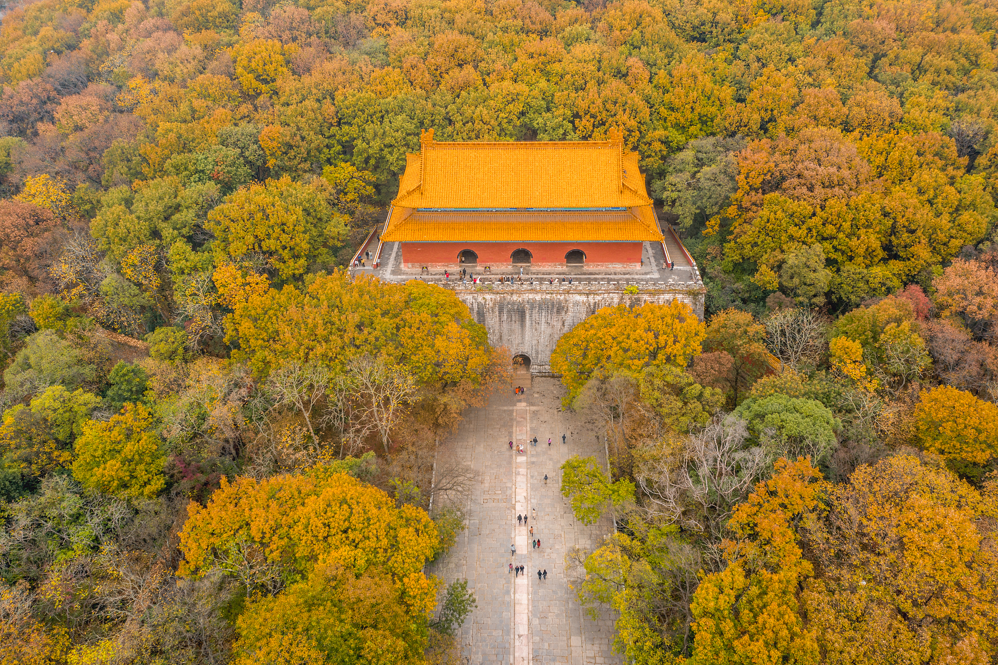 南京旅游攻略：探秘六朝古都，体验历史文化魅力