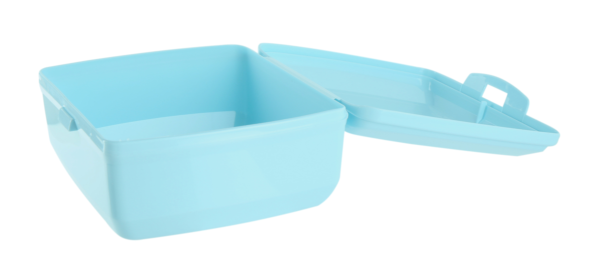 Transparent Box: Definition, Uses & Examples