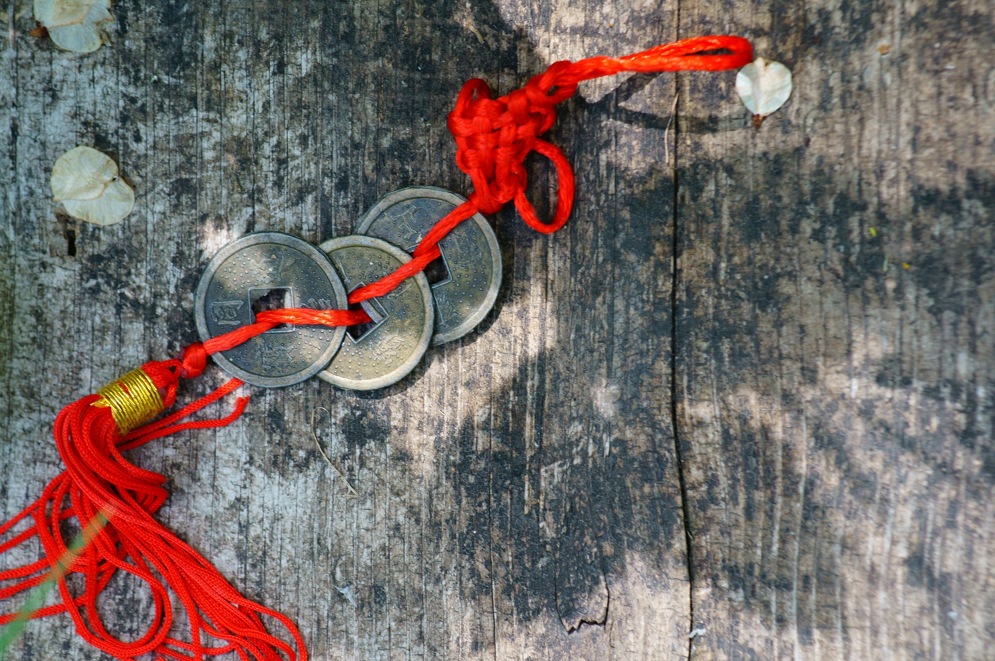 中国的风水文化依据