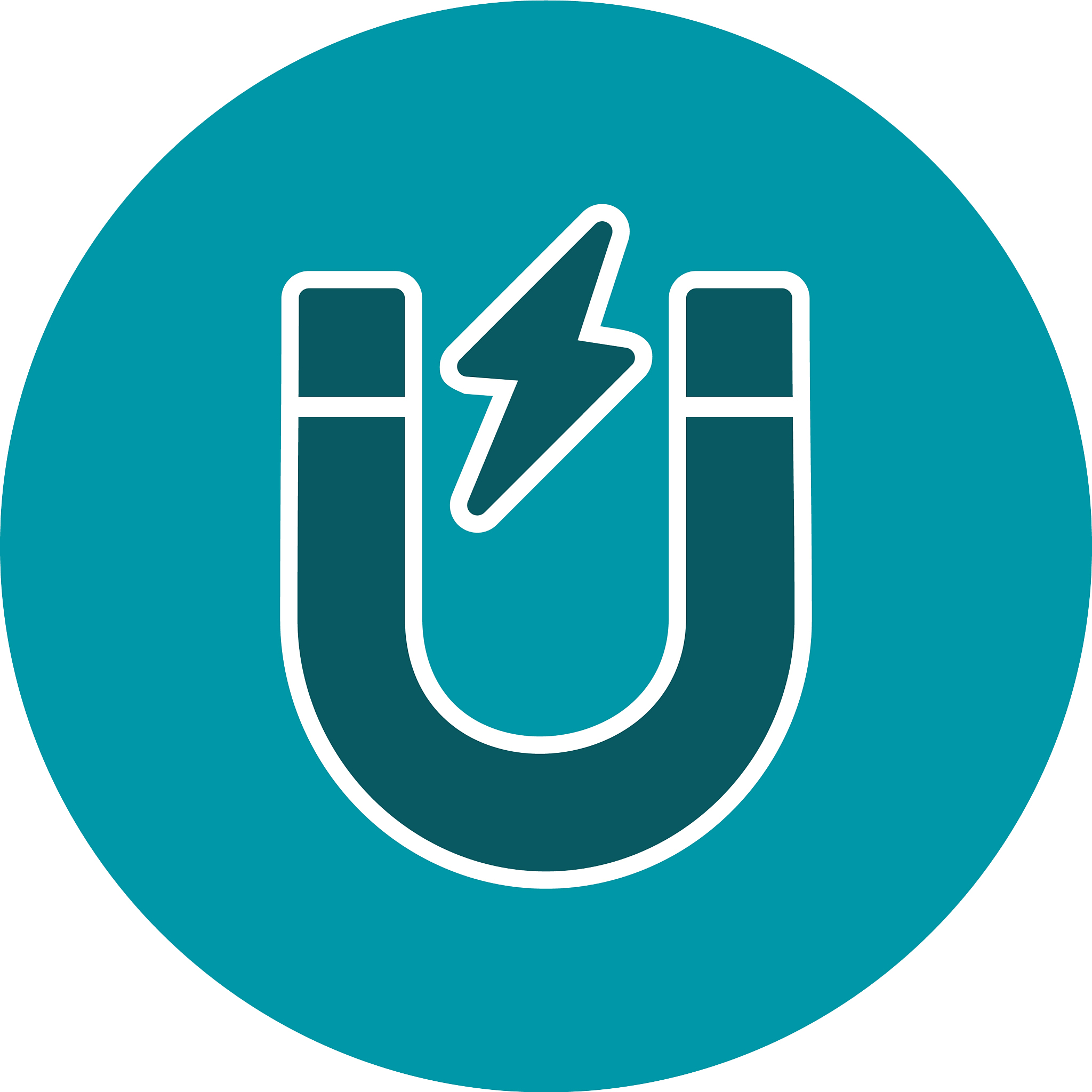 magnet icon