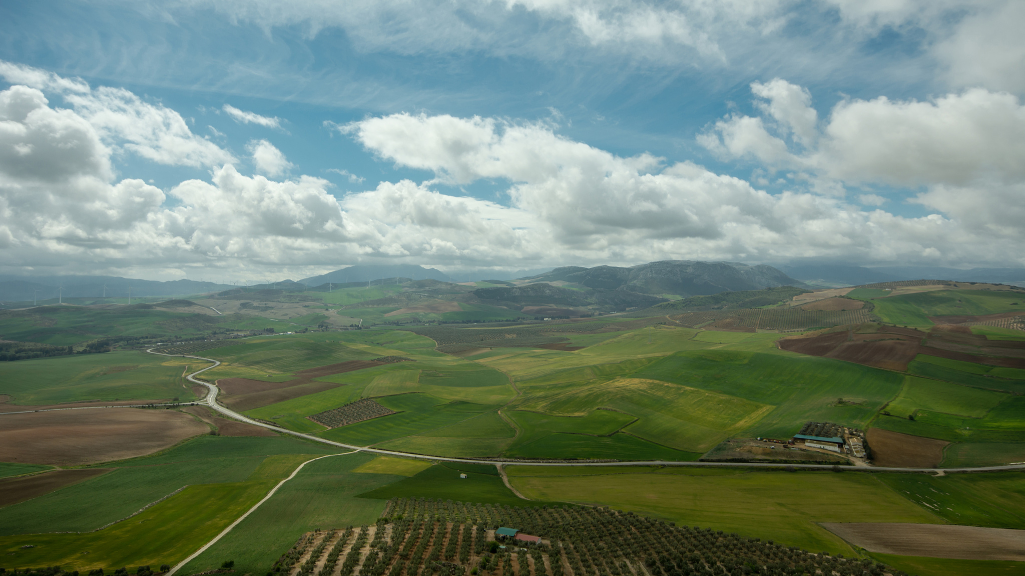 meadowns, sown and track landscape