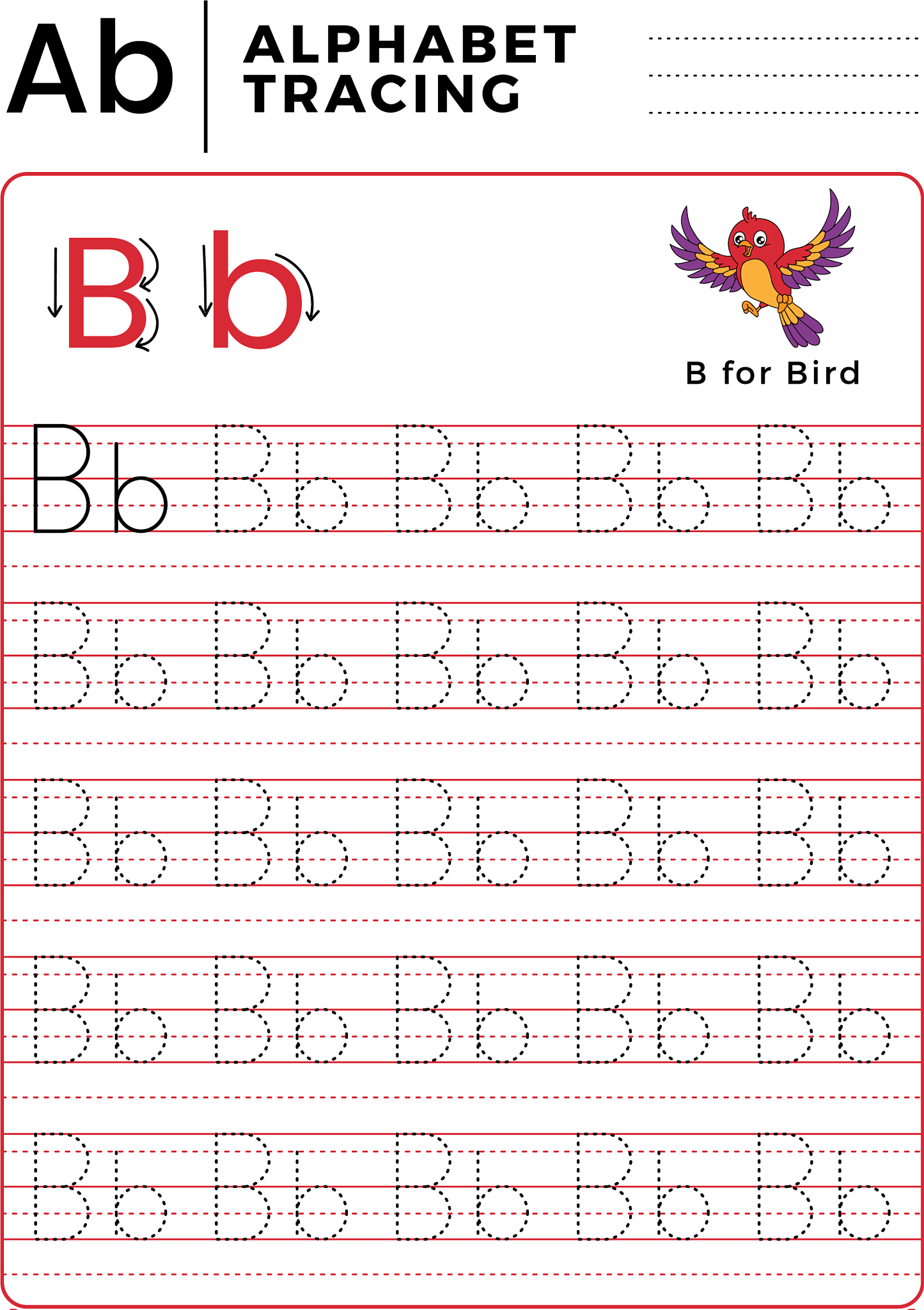 字母,痕迹,书,英文字母<strong>b</strong>,脉搏图,信函,床单,英格兰,动物