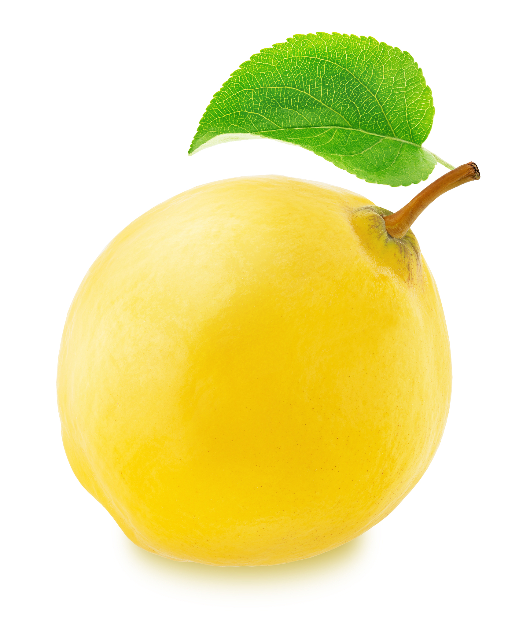 维生素D 滴丸：为什么选择这种形式？