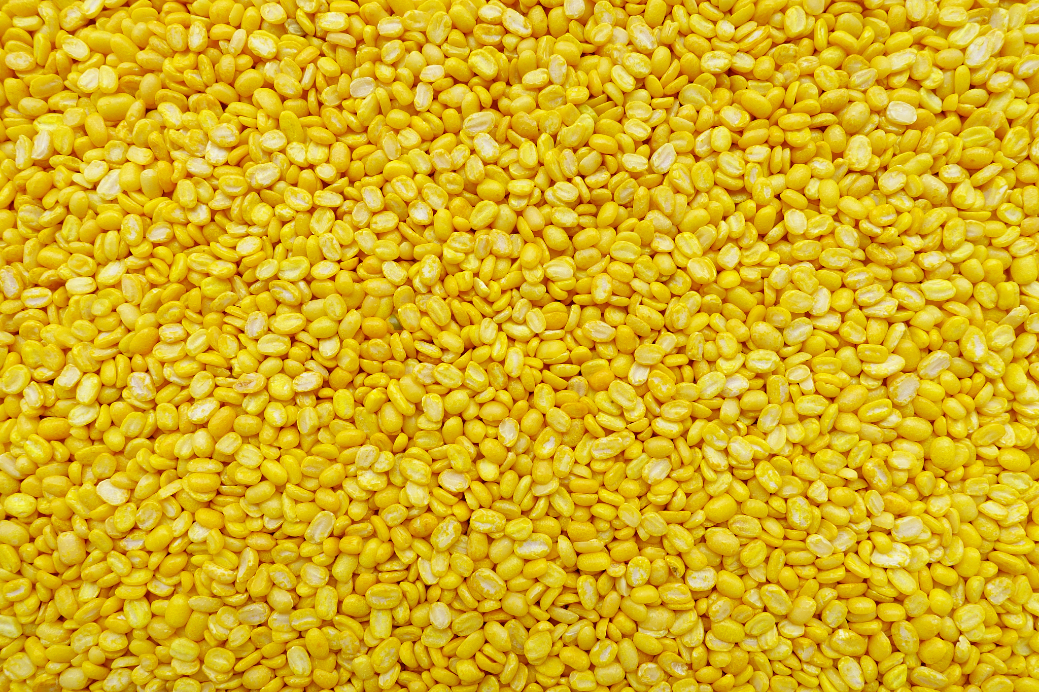 yellow bean