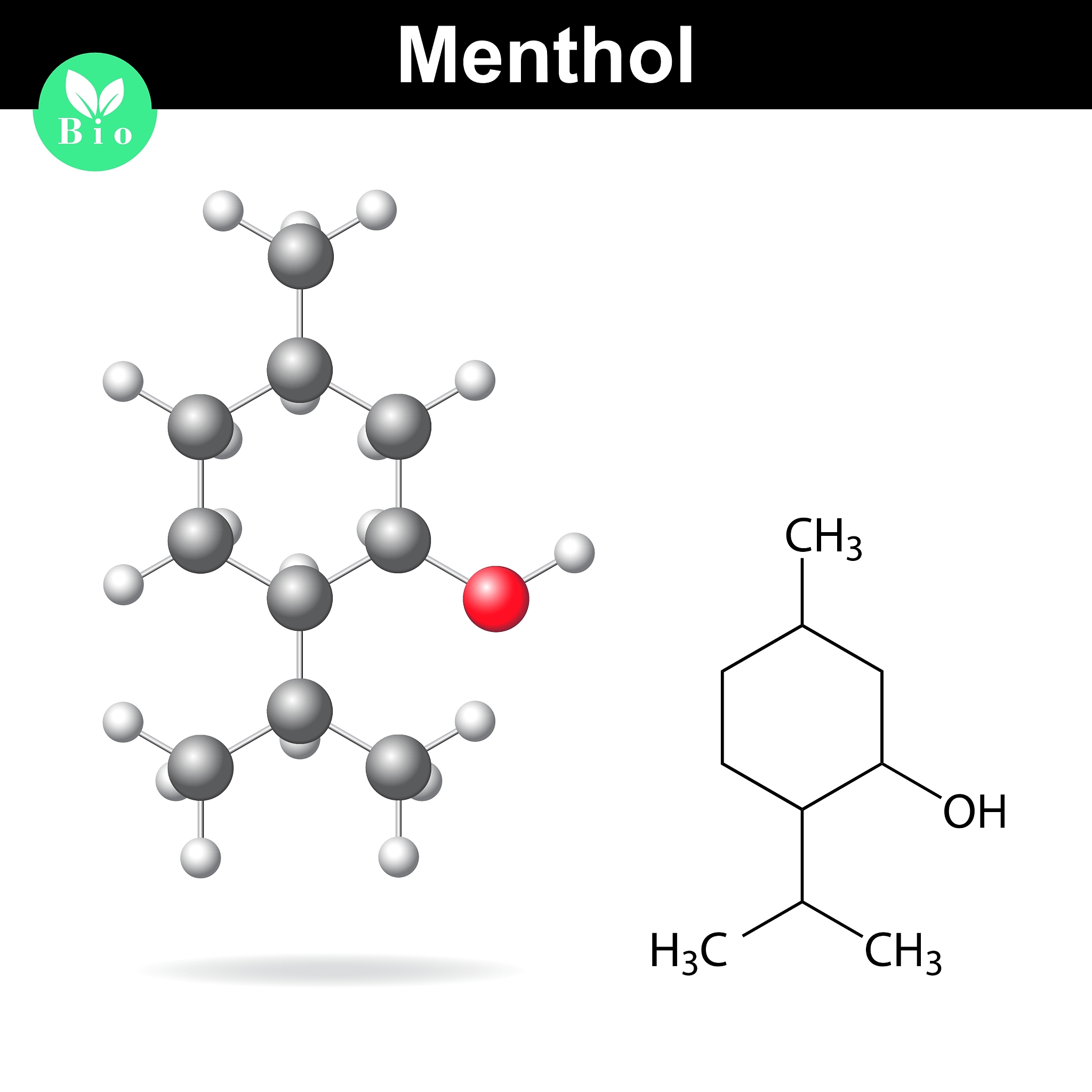 menthol - natural and synthetic component
